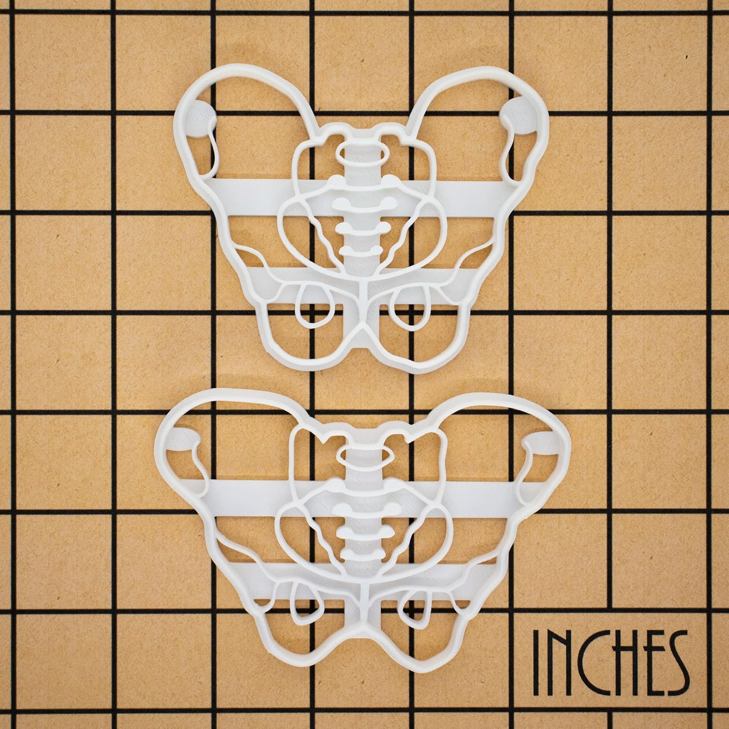 Set of 2 Pelvis cookie cutters (Designs: Male and Female Pelvis), 2 pieces - Bakerlogy