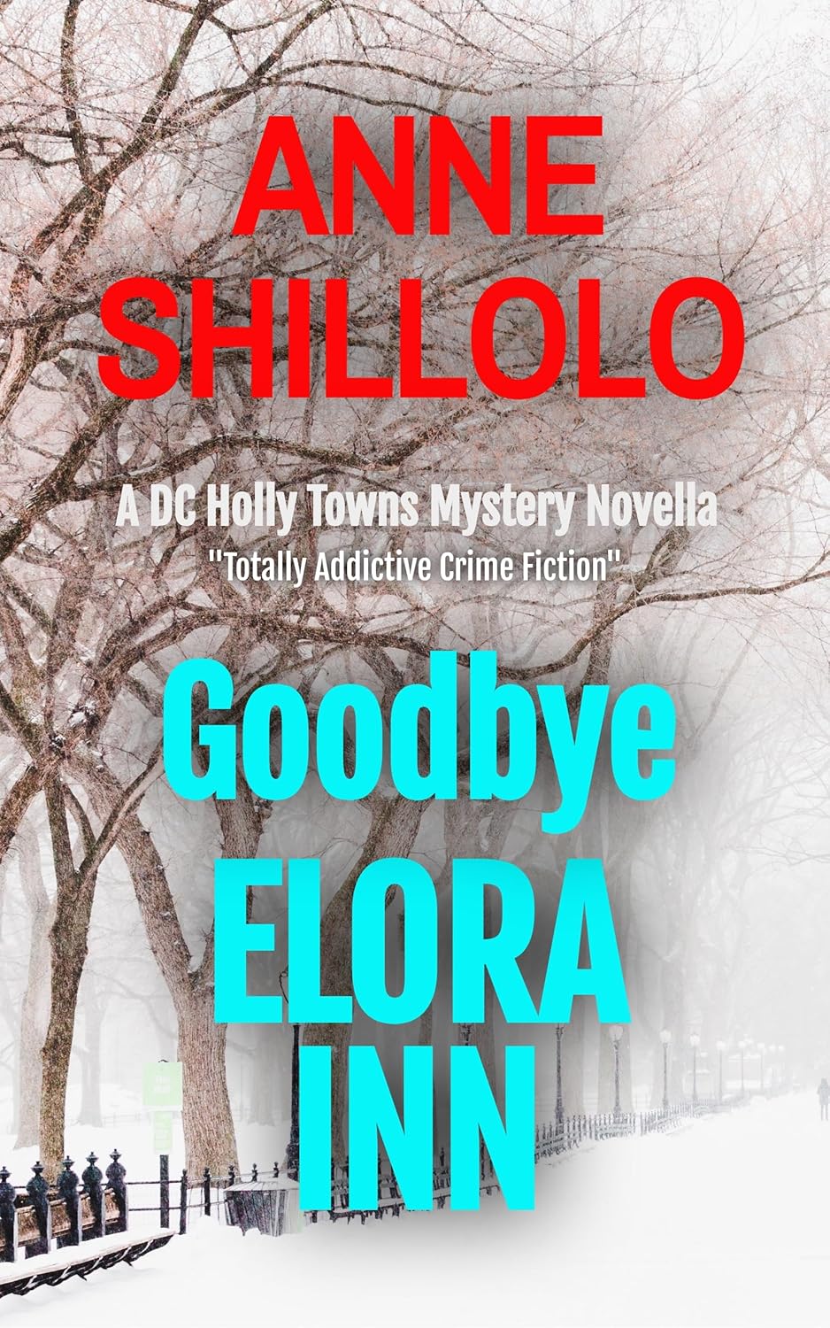 Amazon.com: Goodbye Elora Inn: Totally Addictive Crime Fiction (A DC ...