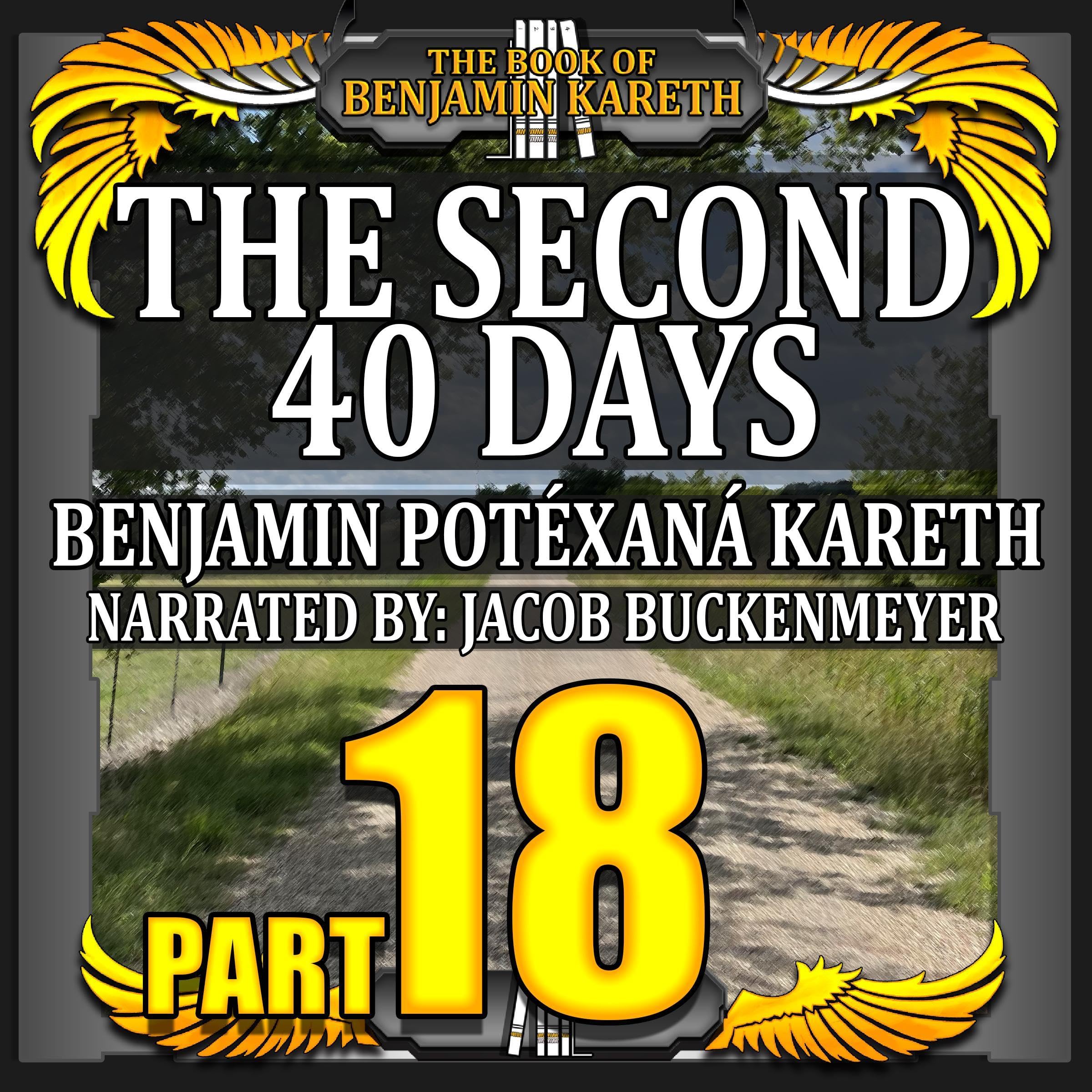 Cover art for The Second 40 Days
