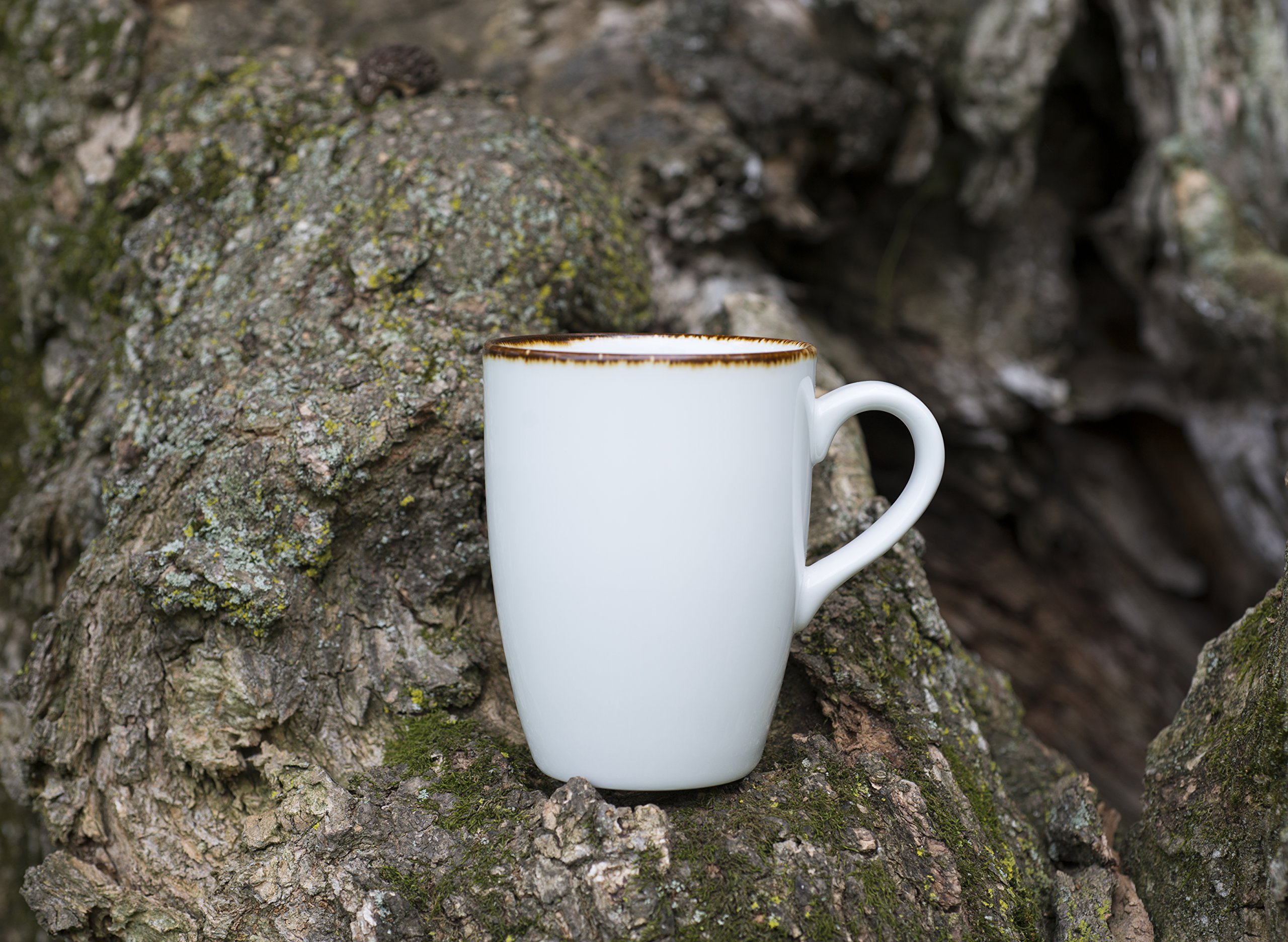 D V Salt Technoceram Tapered Mug Set Of 4 12 75 Oz White Buy Online At Best Price In Uae Amazon Ae