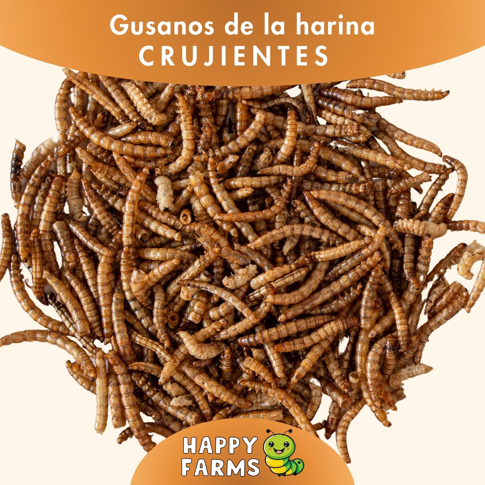 Gusanos de la Harina Deshidratados 10 kg – para Erizos, Pájaros y Gallinas – Ricos en Proteínas