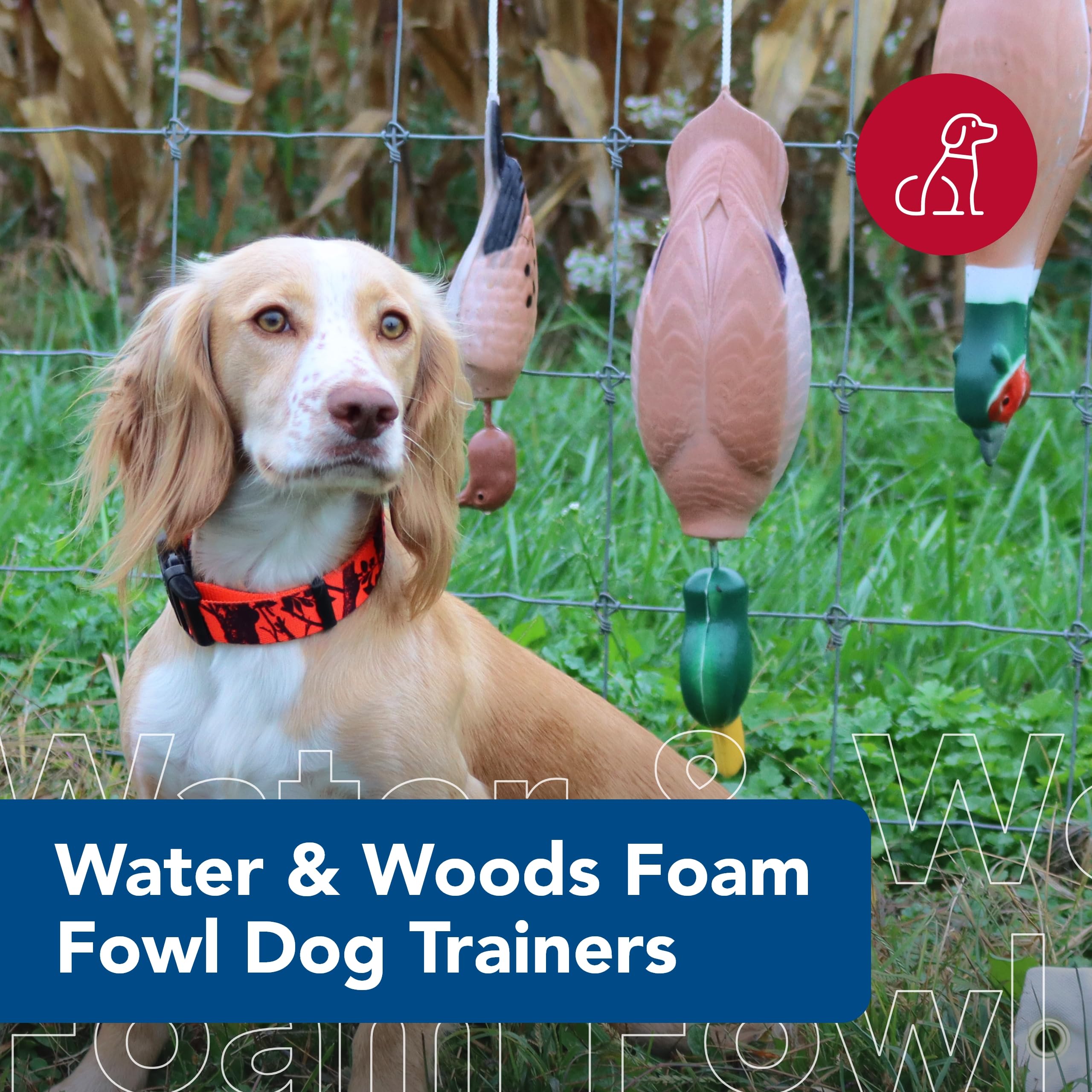 Coastal Pet - Water & Woods Foam Fowl Dog Trainers, Quail, Small