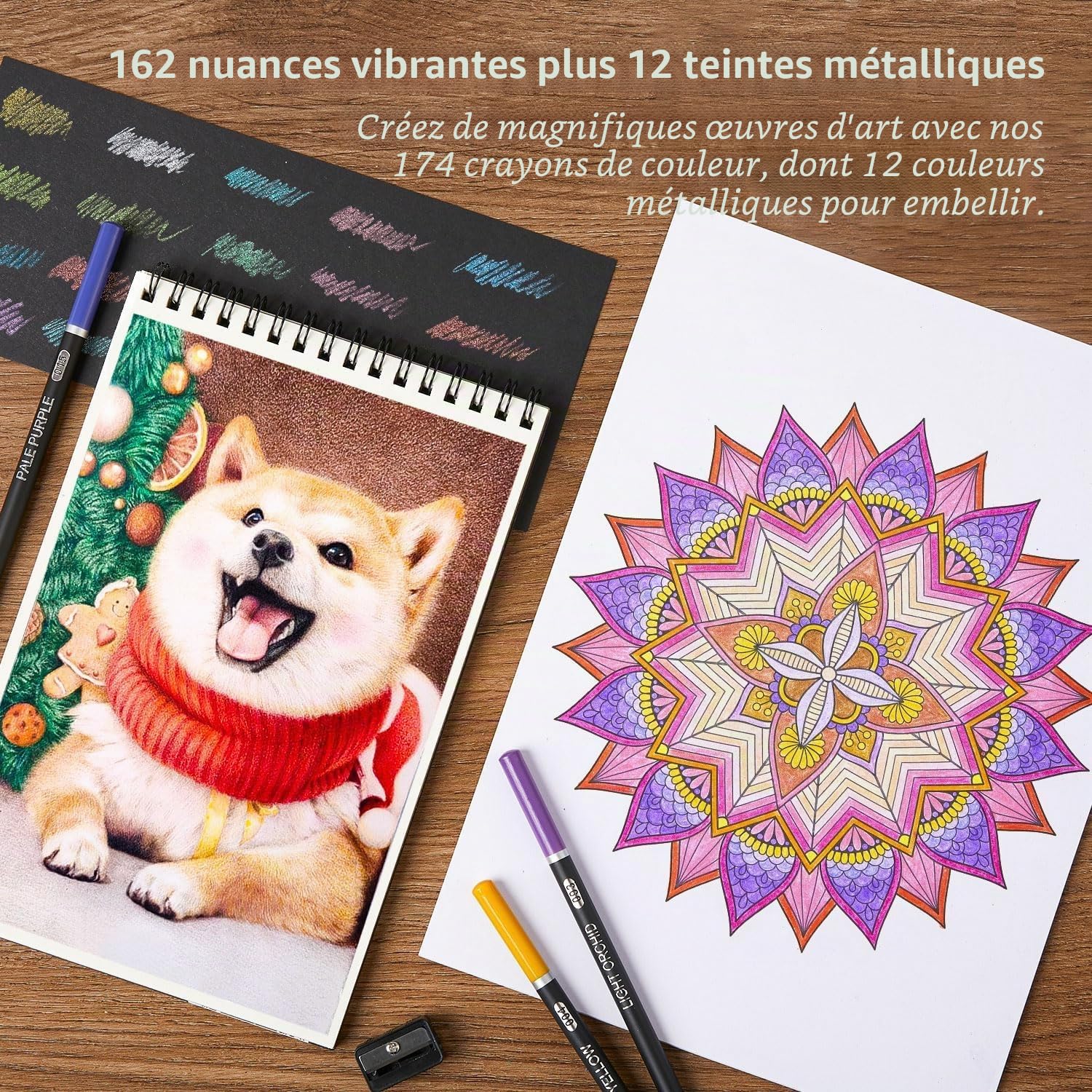 Shuttle Art 174 Crayon de Couleurs Professionnel, Boîte en Métal avec Livre de Coloriage