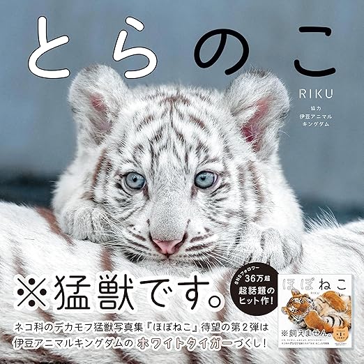 とらのこ 電子書籍 : RIKU : Kindleストア