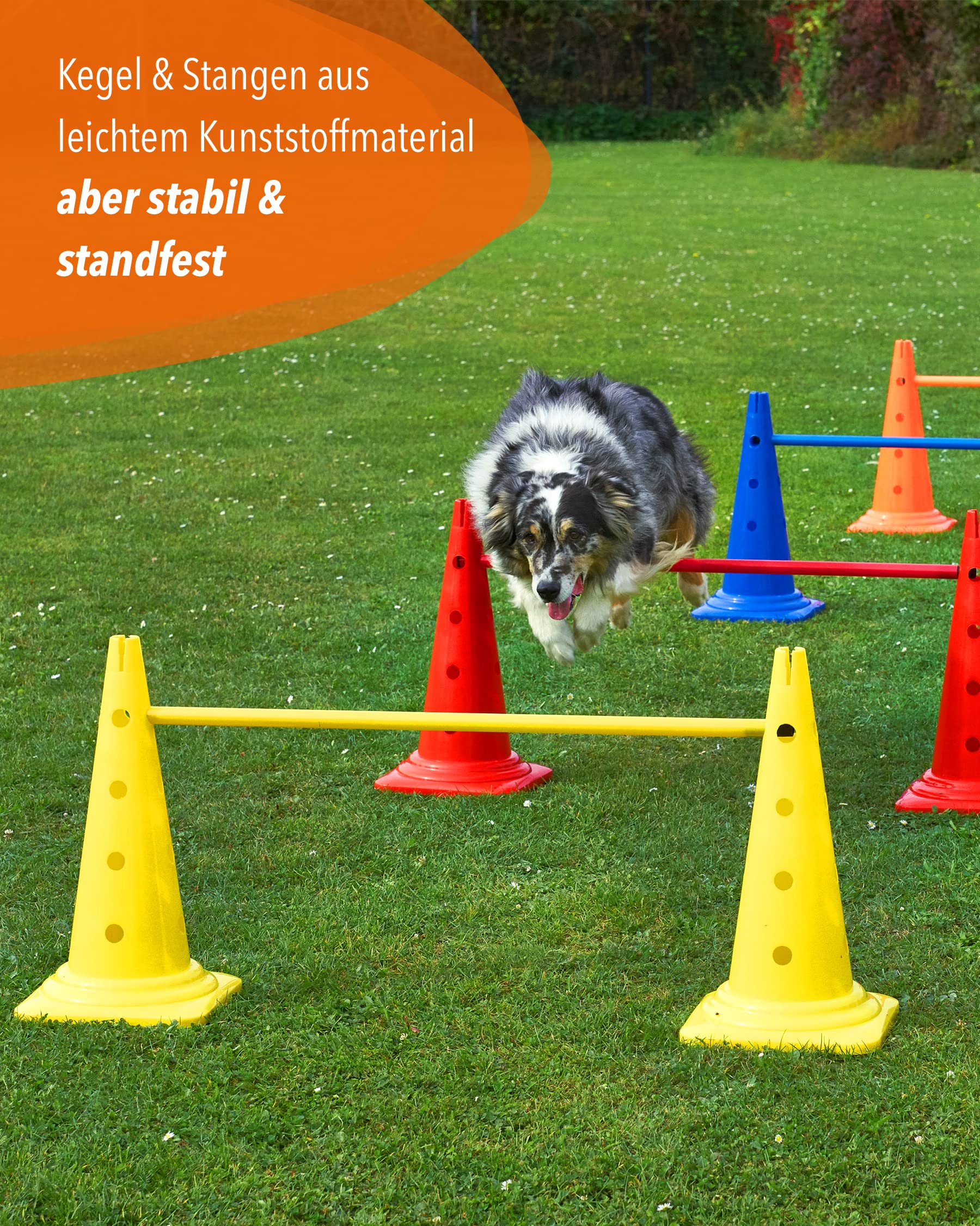 Kombi Kegel-Hürde 50 mit Stangen 100 cm – 4er Set – Parcours-Hindernis für Agility Training – Sprung- & Slalom-Hütchen für Hund, Sport, Pferd & Kind