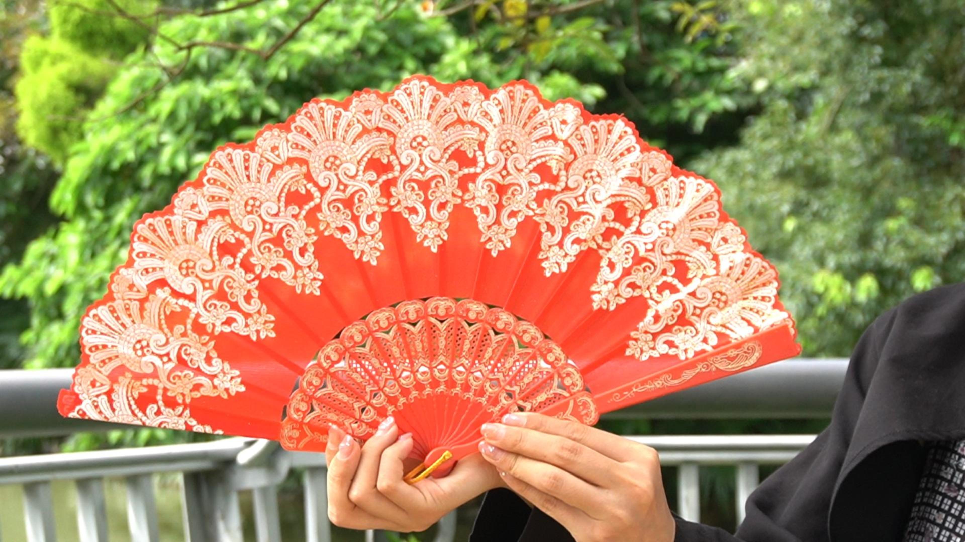 Amazon.com: EOSAU Handheld Chinese Folding Fan Hand Fans for Women
