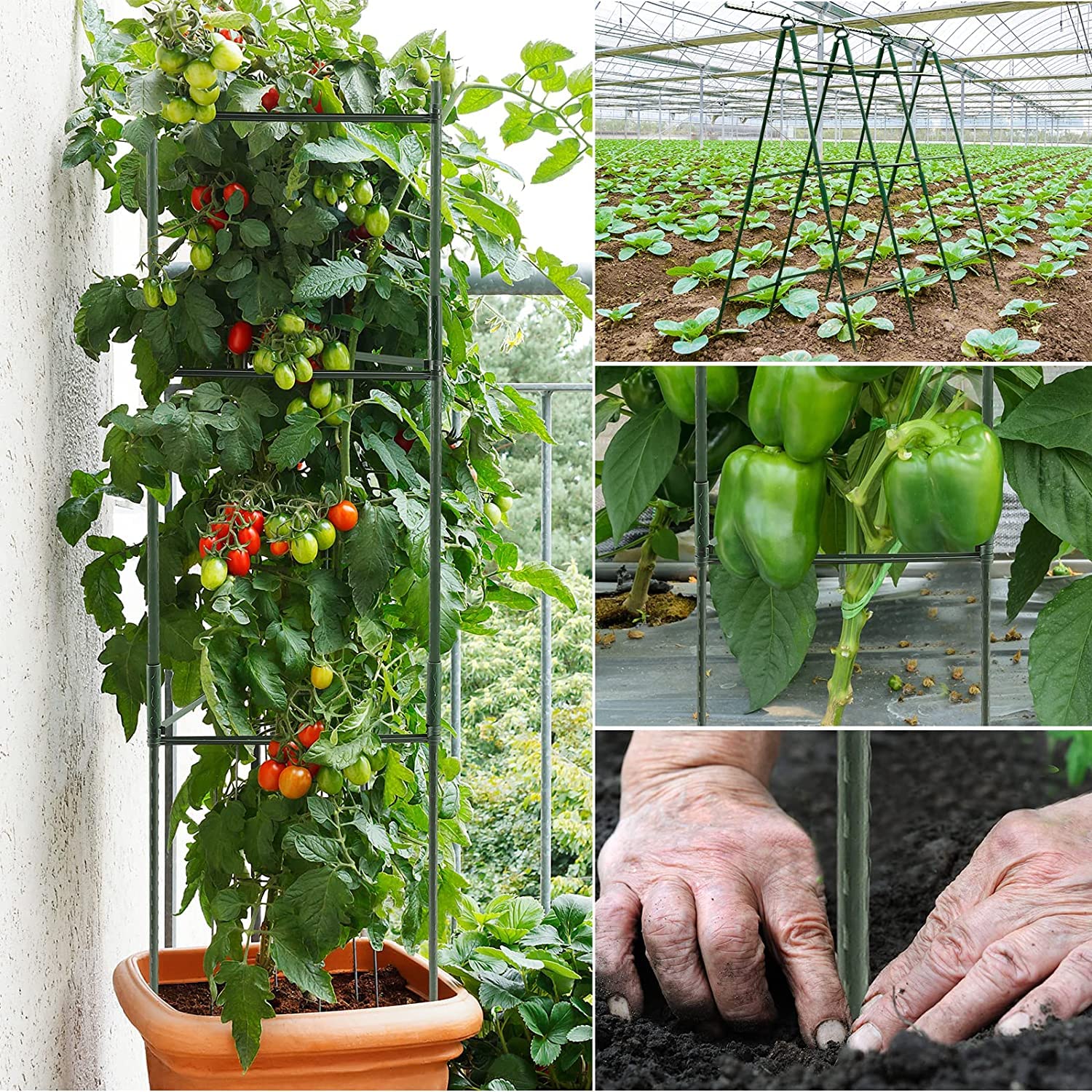 3 Stück Tomaten Rankhilfe, Pflanzenhalter, Rankhilfe Pflanzen, Robuste Tomatenkäfig, Pflanzenstütze Pfahl Garten Blumenstütze Klettergitter für den Anbau von Kletterpflanzen Blumen Gemüse (123 cm)