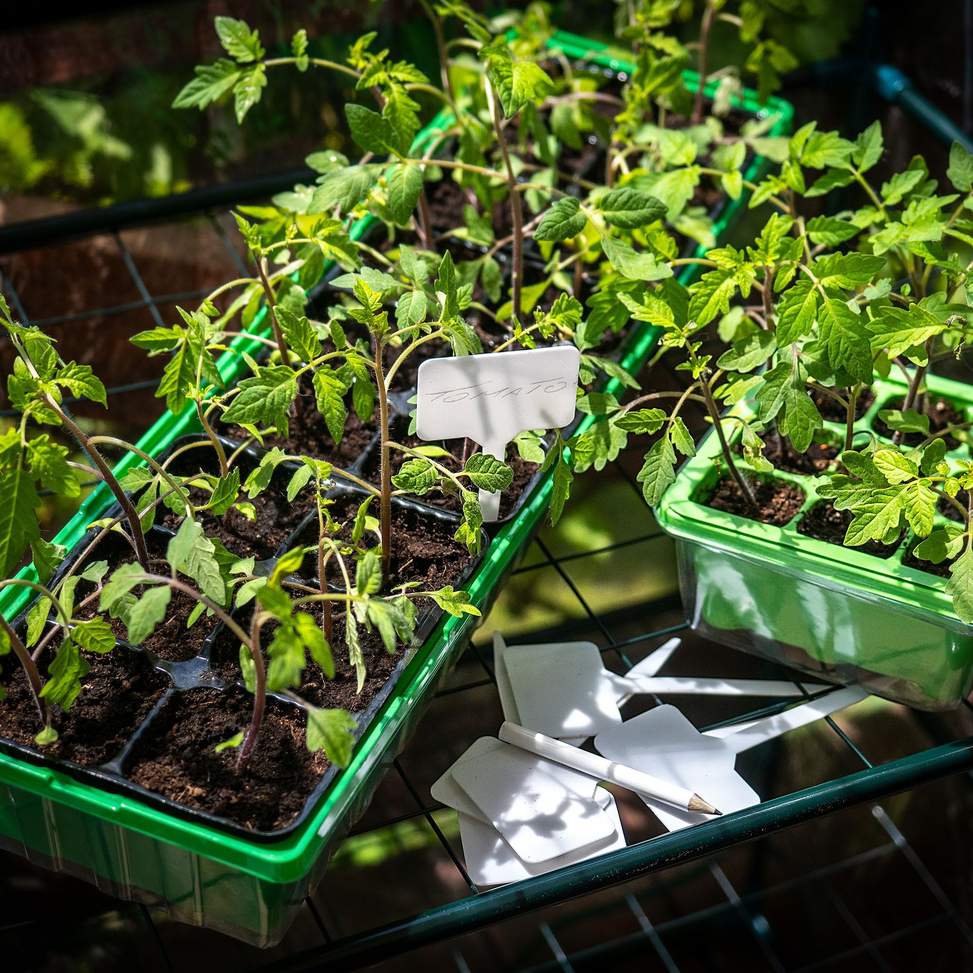 Lot De 10 étiquettes De Jardin En Plastique Blanc - Résistantes Aux Intempéries - Réutilisables - Pour Plantes, Herbes, Légumes