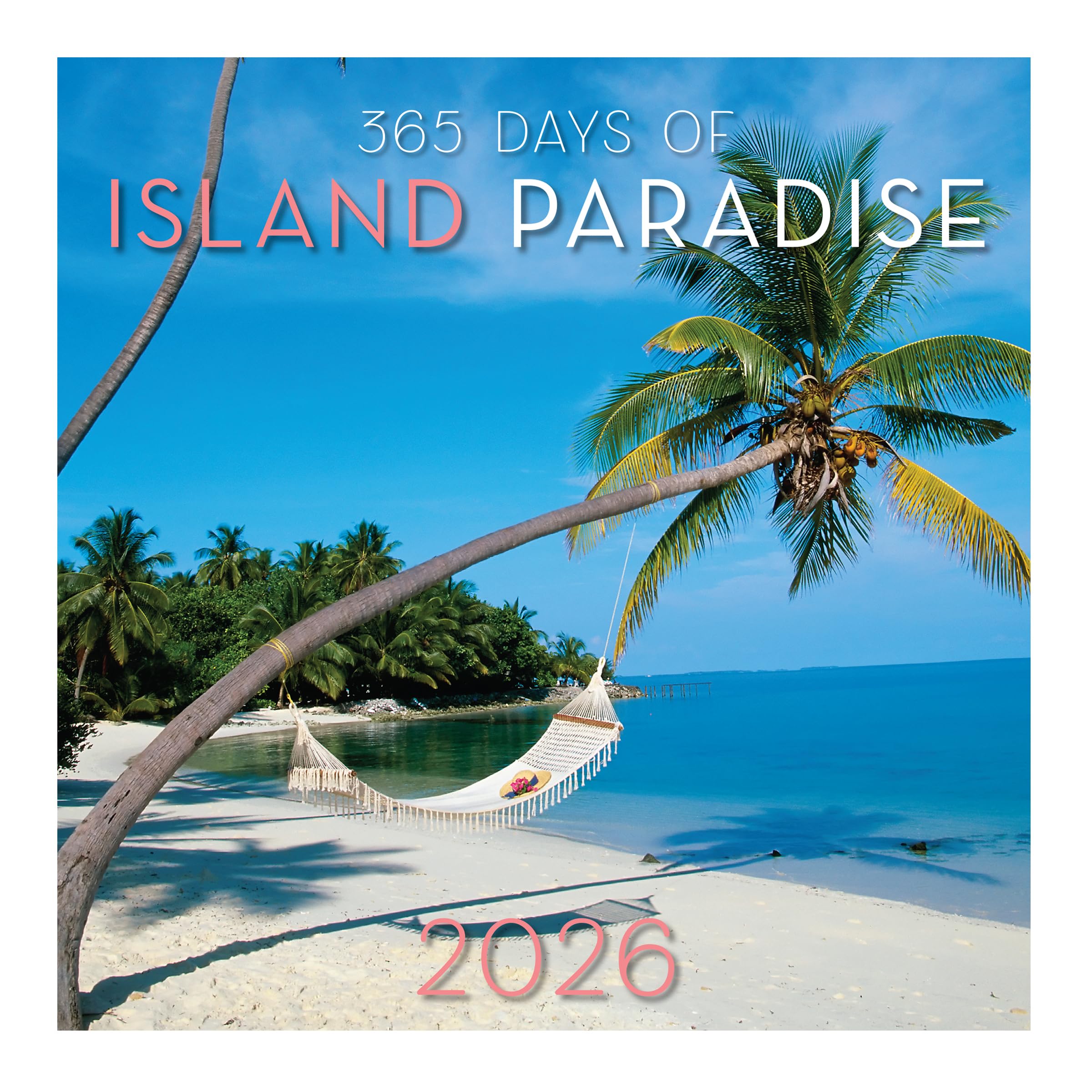 365 Daily Desk Calendar for 2026 by Graphique, Day to Day Calendar for Home or Office, Tear Off Pages (Island Paradise)