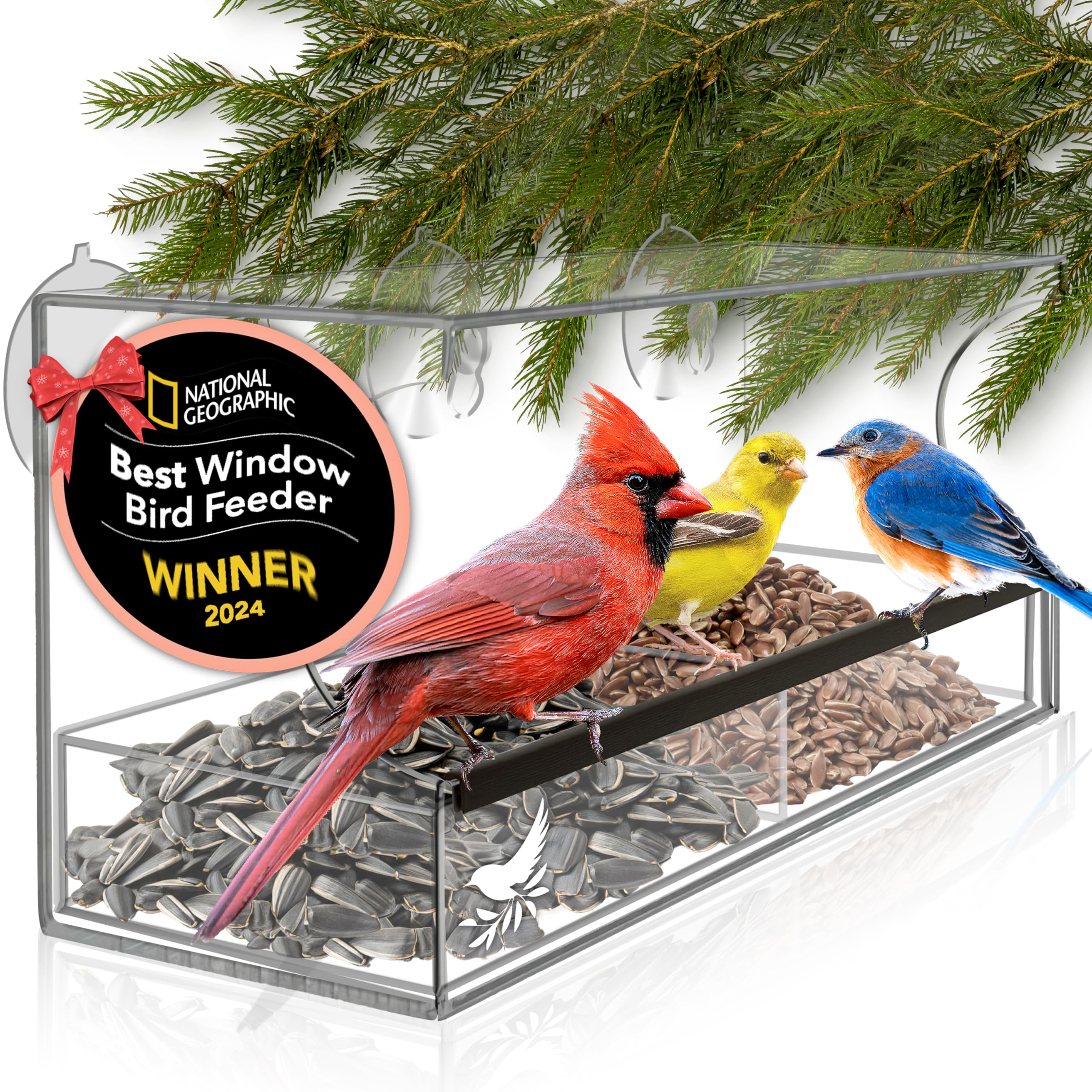 Window Bird Feeder with Strong Suction Cups and Seed Tray, Outdoor 