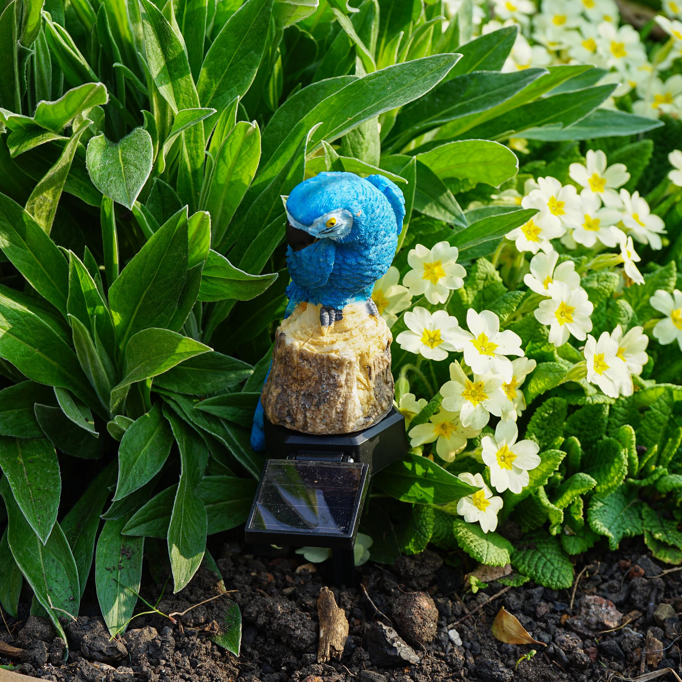 Bestfor LED Solar Powered Blue Parrot Garden Stake Light