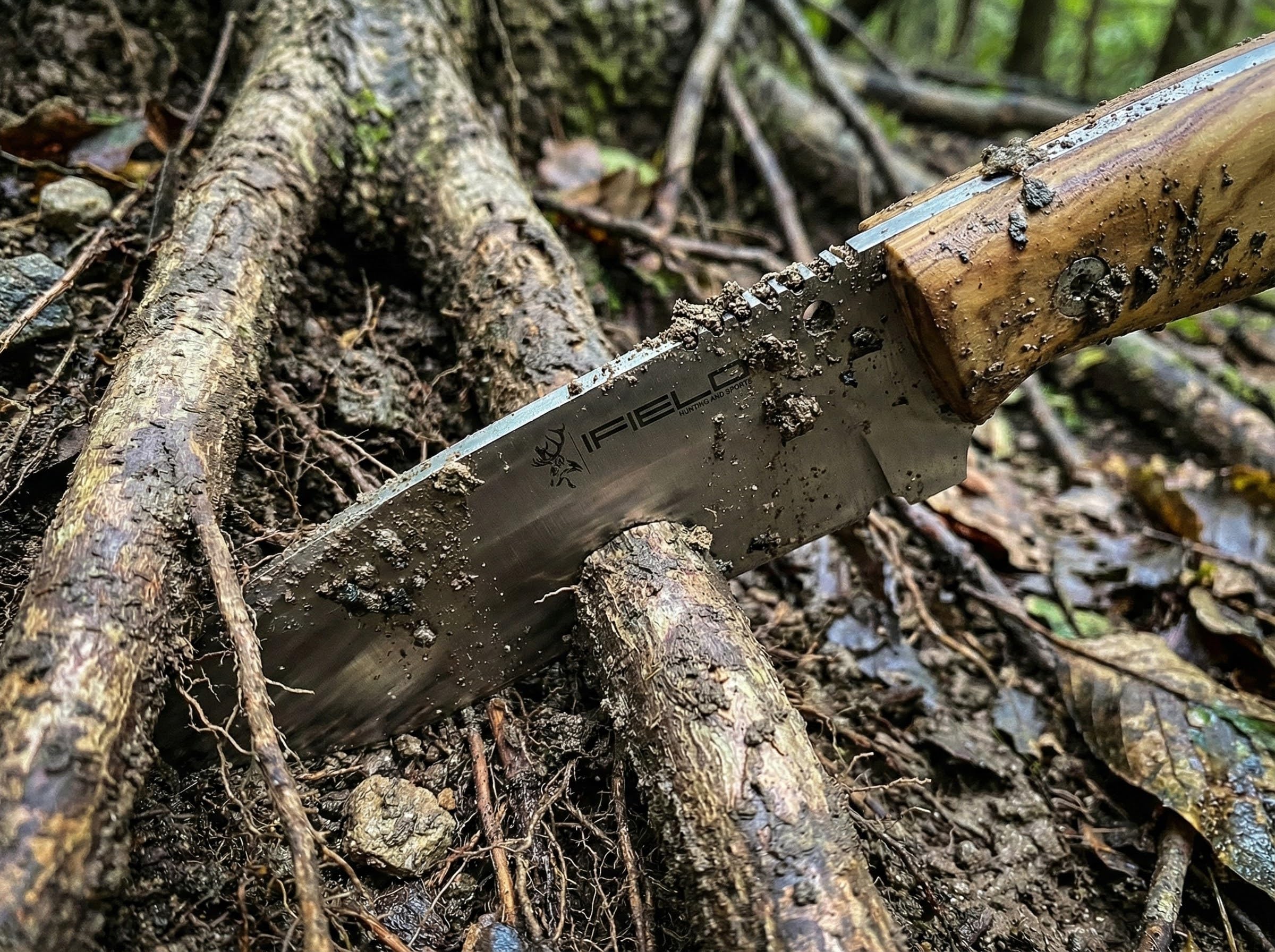 iFIELD EL29107 Multifunzionale escursioni, caccia e sopravvivenza coltello per l'esterno, manico in legno d'oliva con acciaio inox MOVA-58, fatto in Albacete (Spagna)