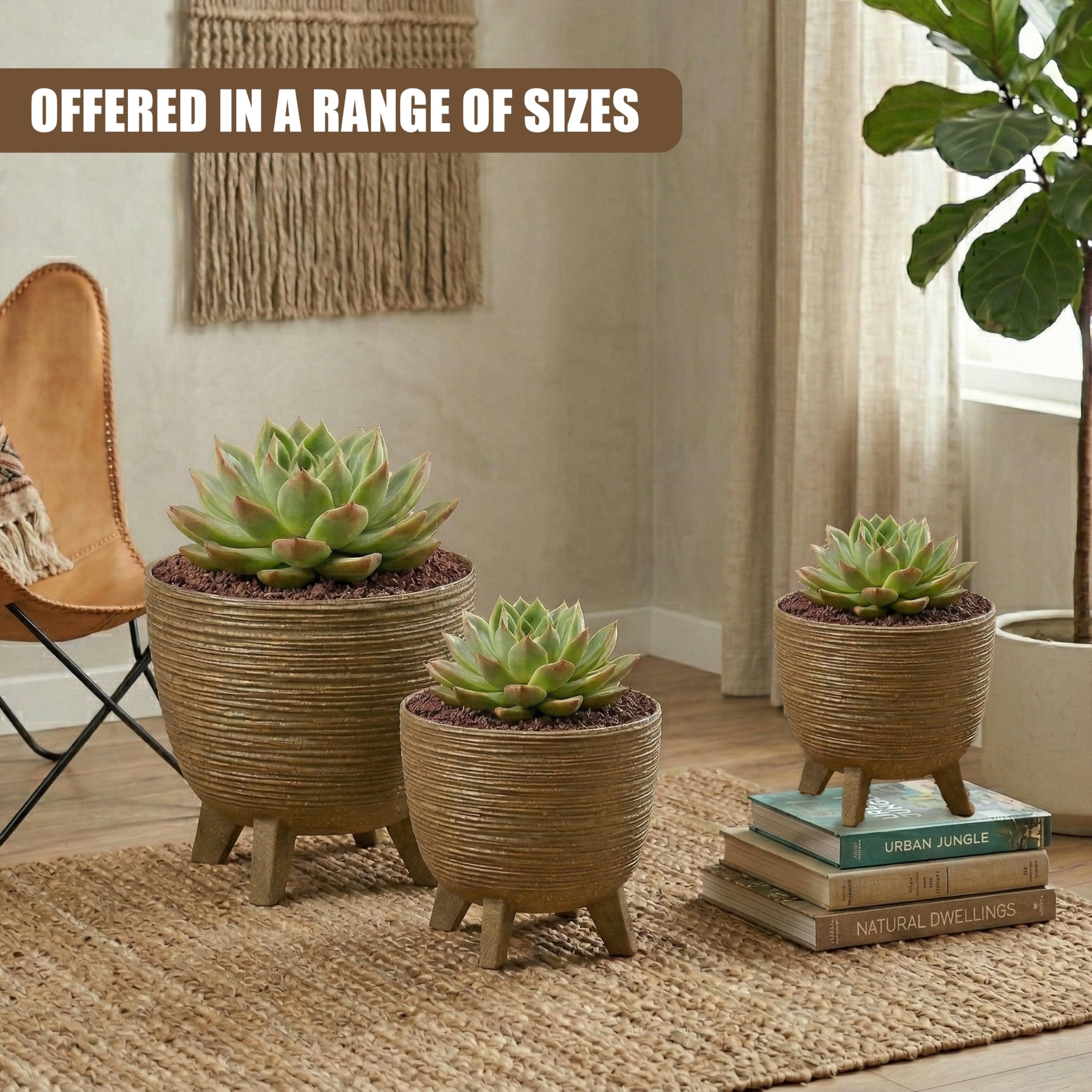 View 9