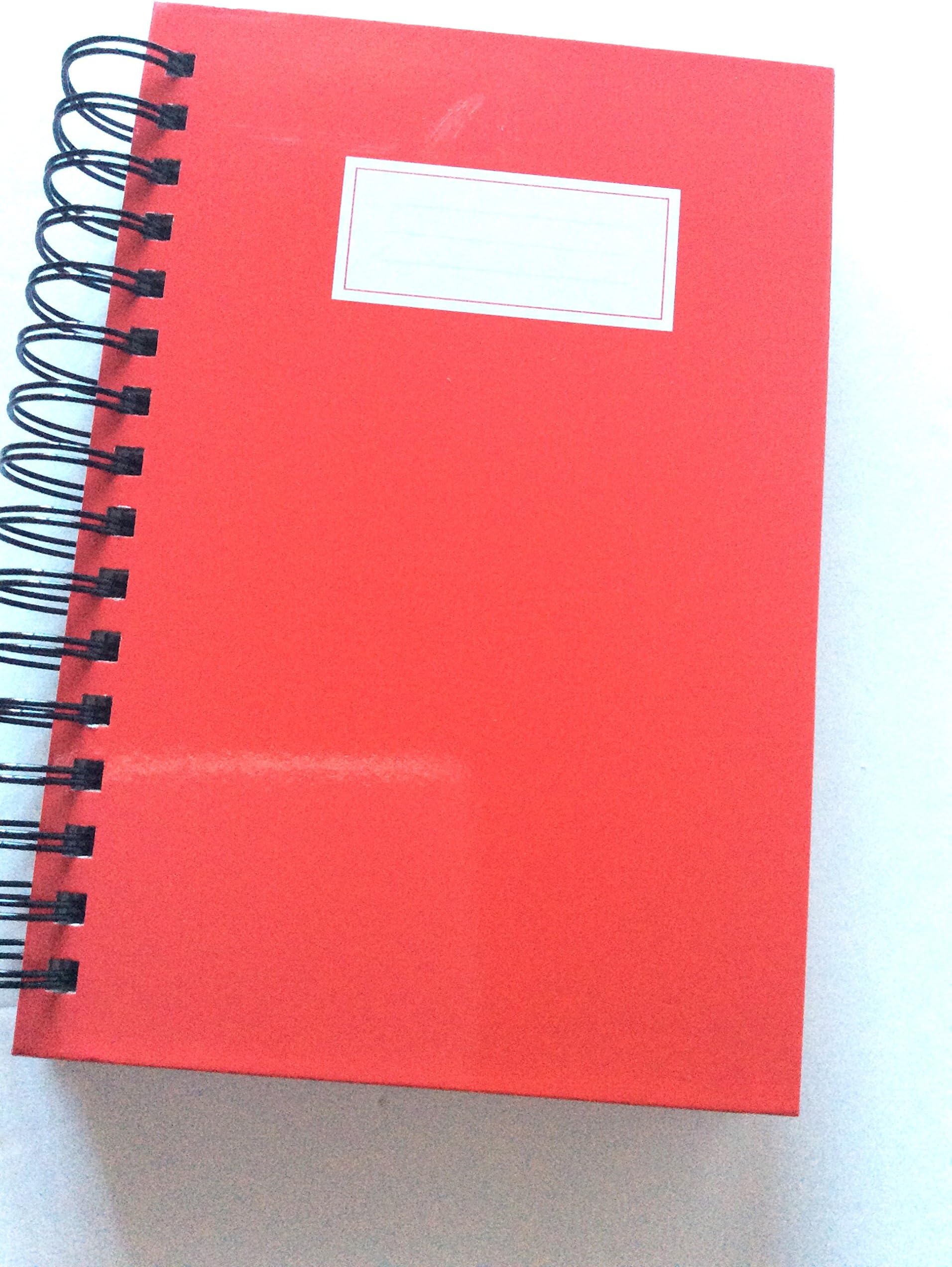 Markings by C.R. Gibson - Spiral Journal 6" X 9" Ruled - 400 pages (MG109-15670) (Red)