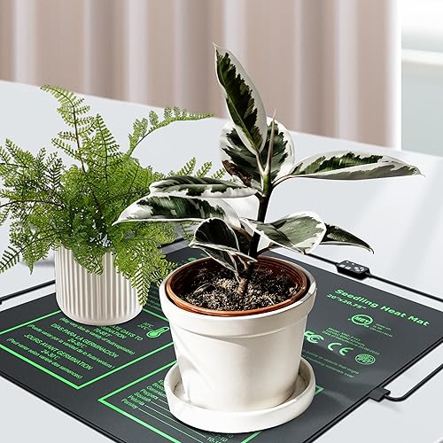 Miniatura 8 de iPower Alfombrilla para plantas con controlador digital de temperatura doble, almohadilla térmica con certificación MET, 20 x 20.75 pulgadas, color