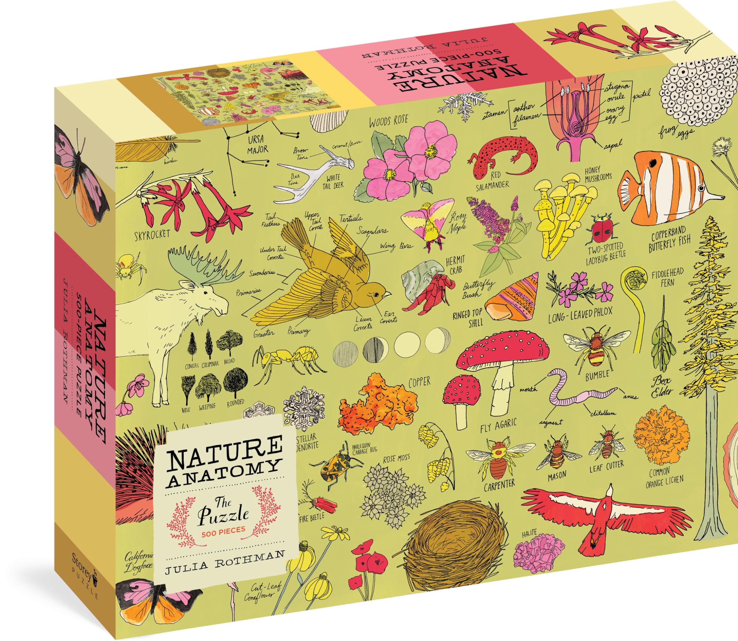 Nature Anatomy: The Puzzle (500 pieces): Science-Based Companion Planting Strategies for the Vegetable Garden