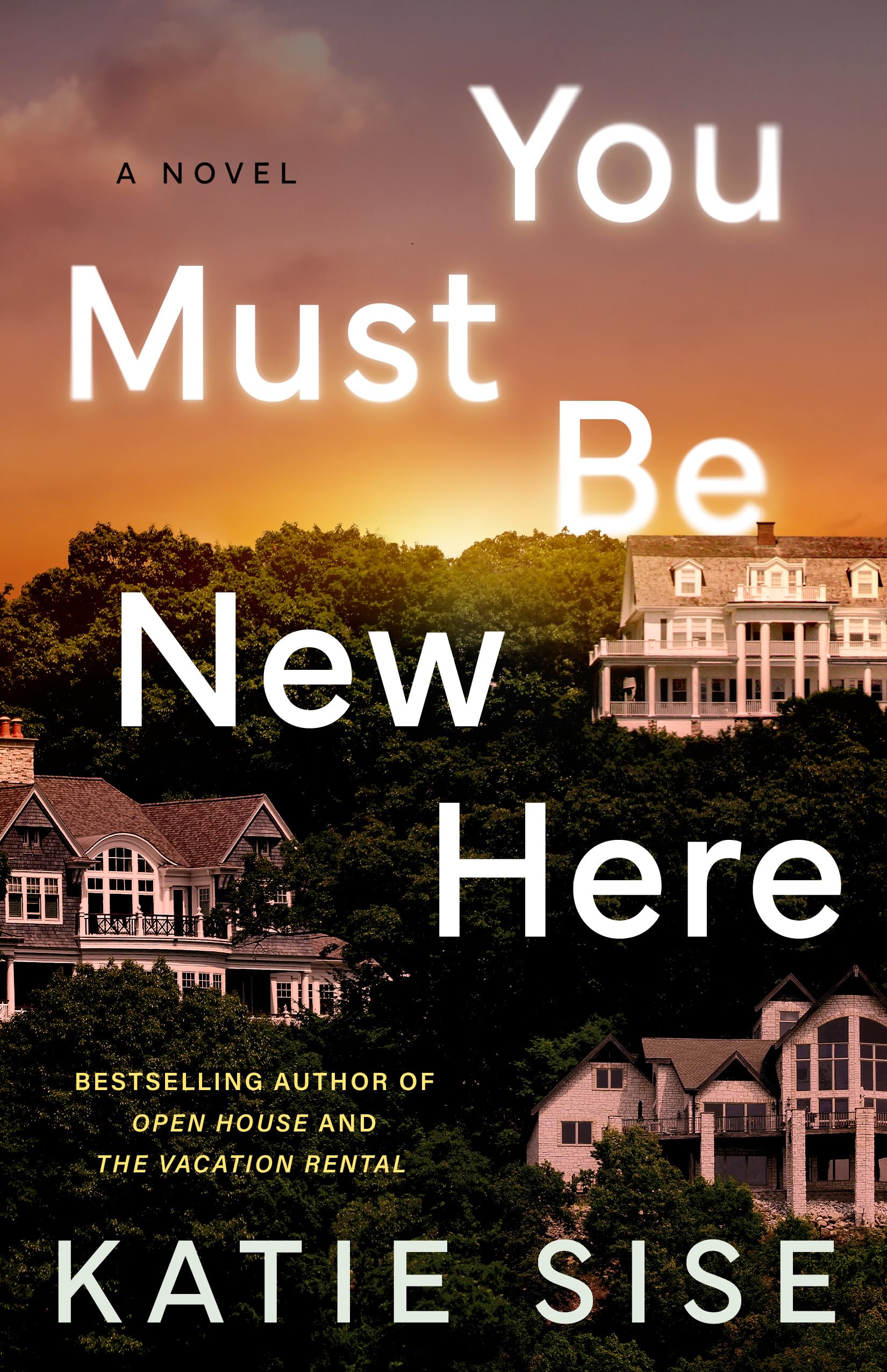 You Must Be New Here: A Novel