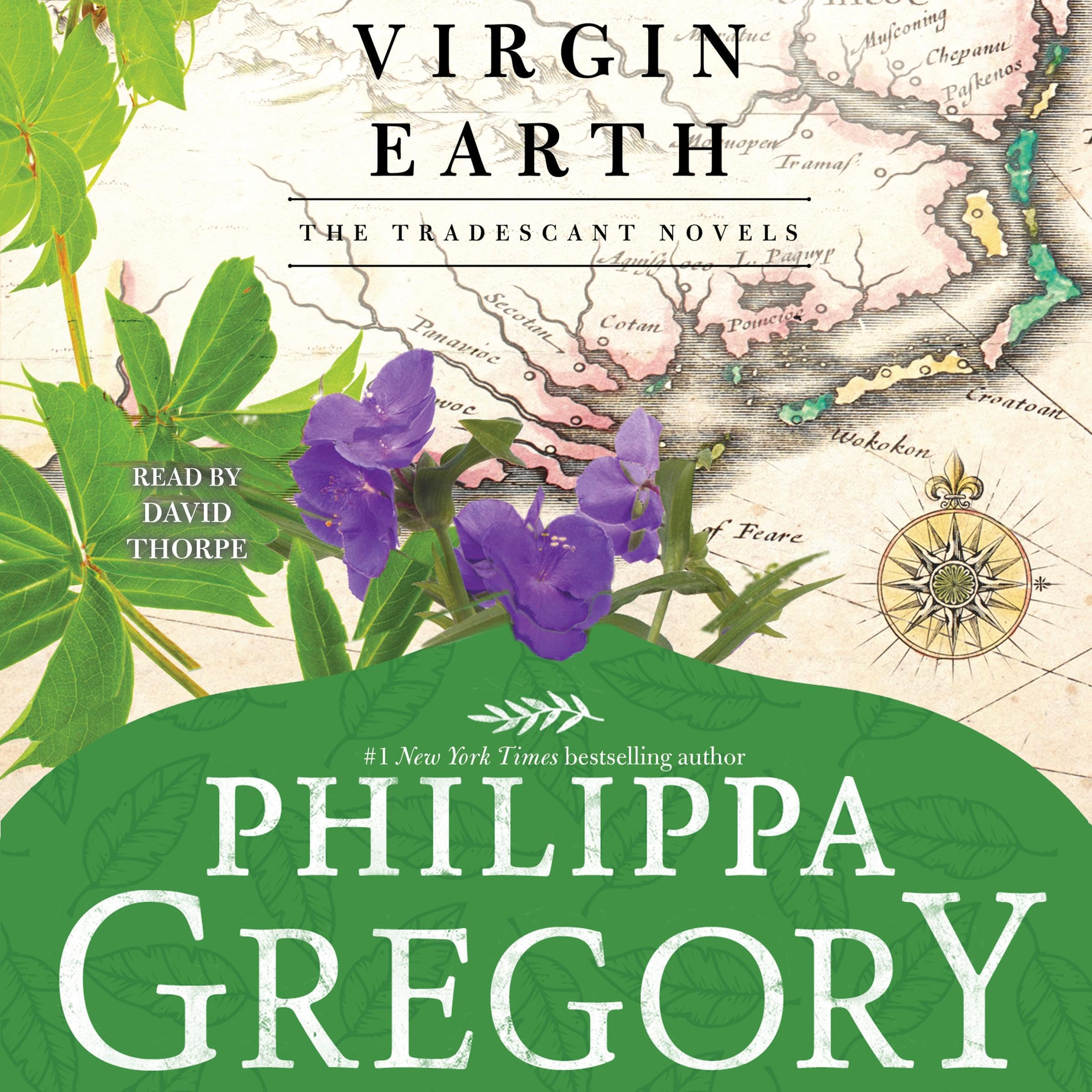 Cover art for Virgin Earth