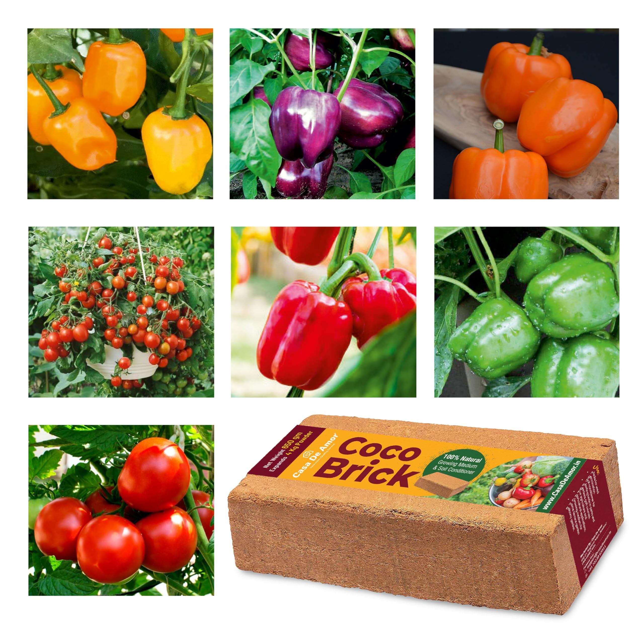 Casa De Amor Vegetable Capsicum and Tomato Seeds with Cocopeat Brick 650 gm (7 Seeds with 650gm Cocopeat Brick) (B0CNLMN836) Amazon Price History, Amazon Price Tracker