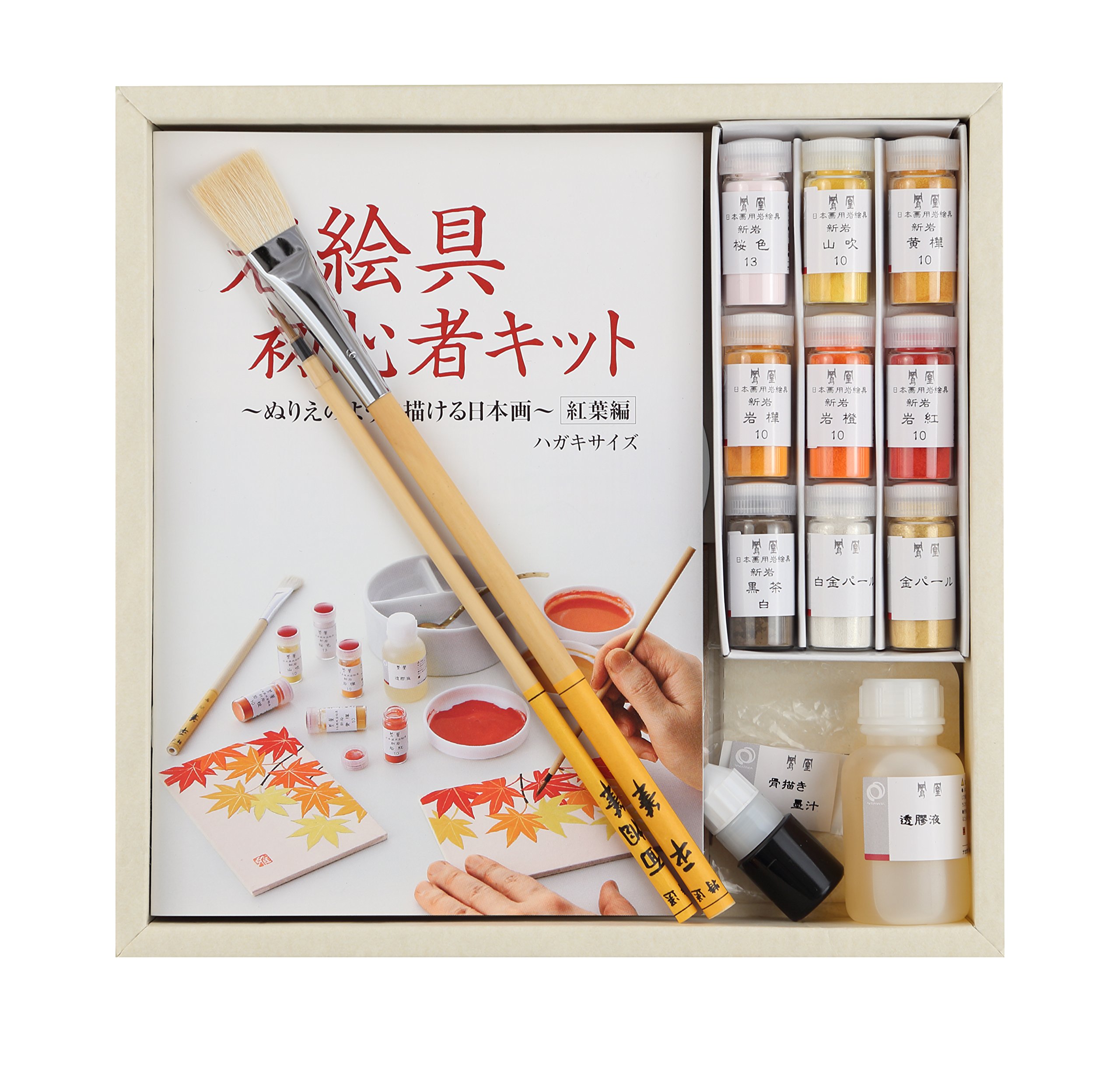 Peinture sur galet débutant kit pour décorer son intérieur en automne avec Phoenix