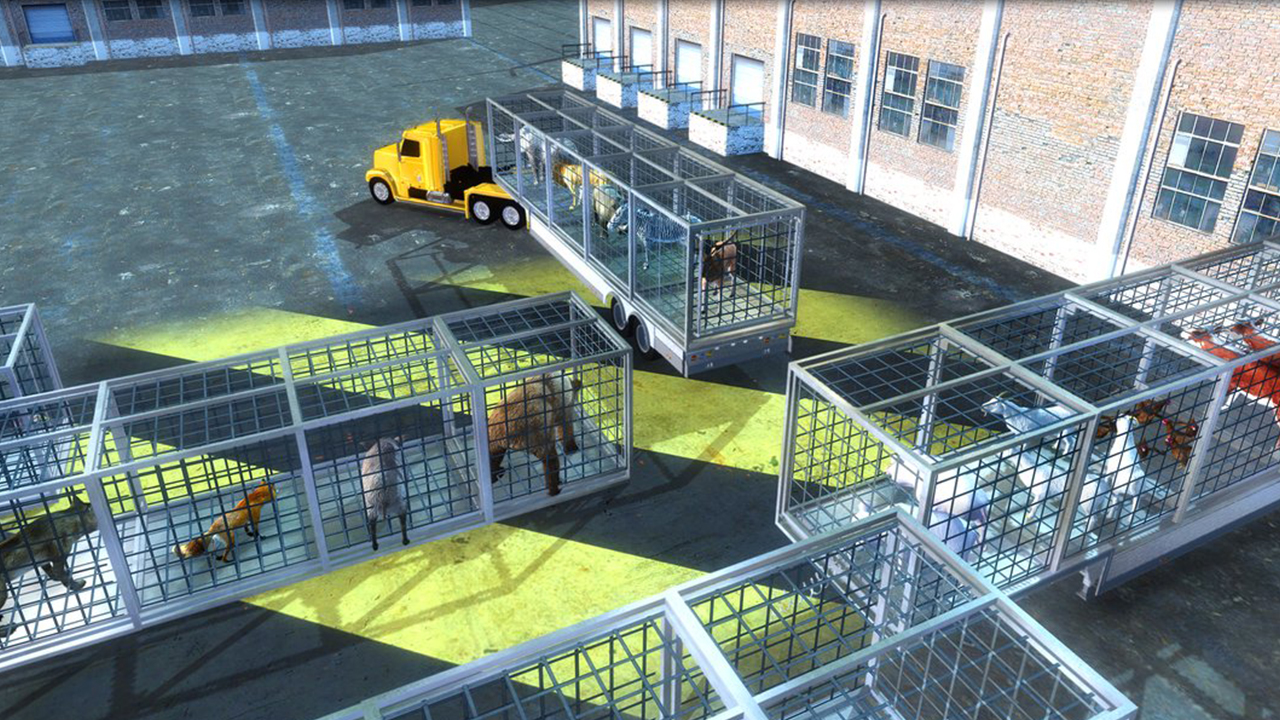 Zoo Animal Airplane Pilot Transportation Simulator 3D Wild Animal