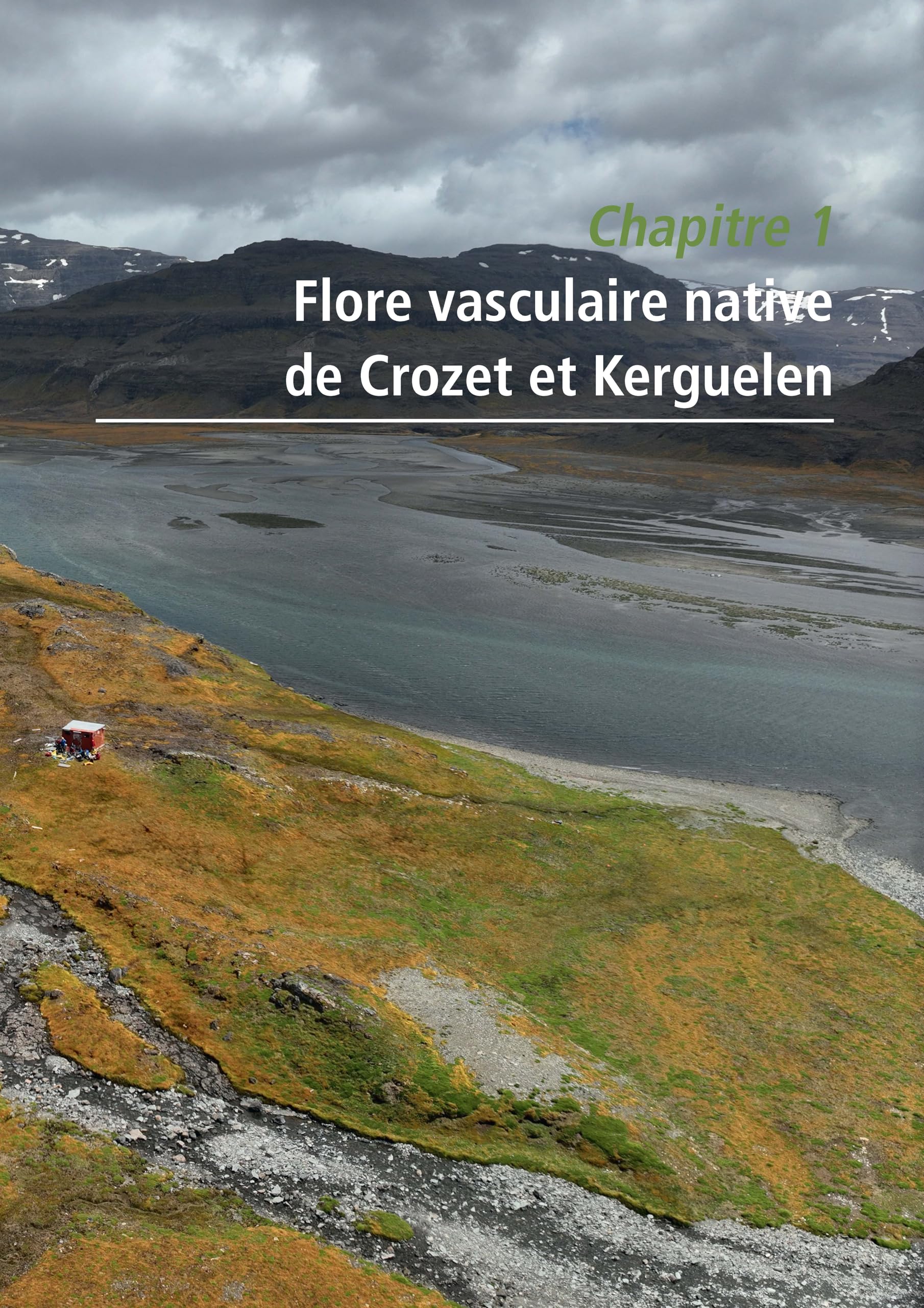 La flore des Terres australes et antarctiques française