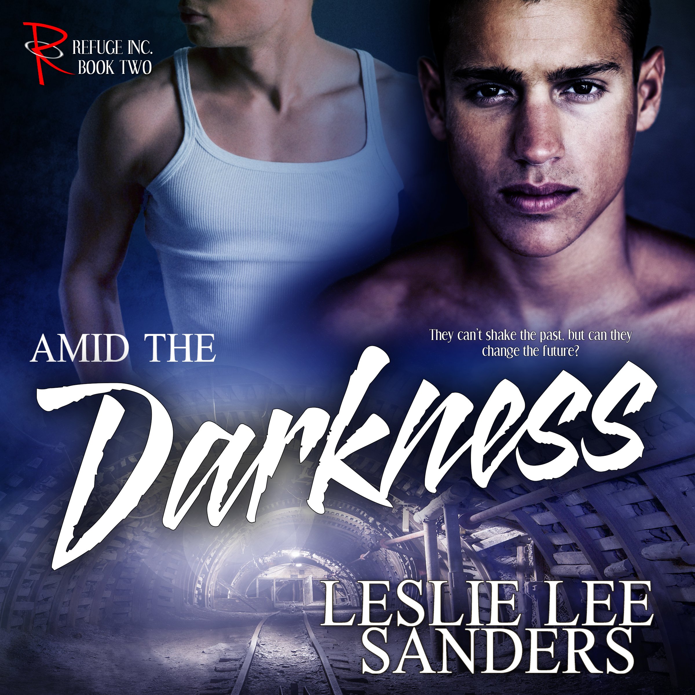 Cover art for Amid the Darkness