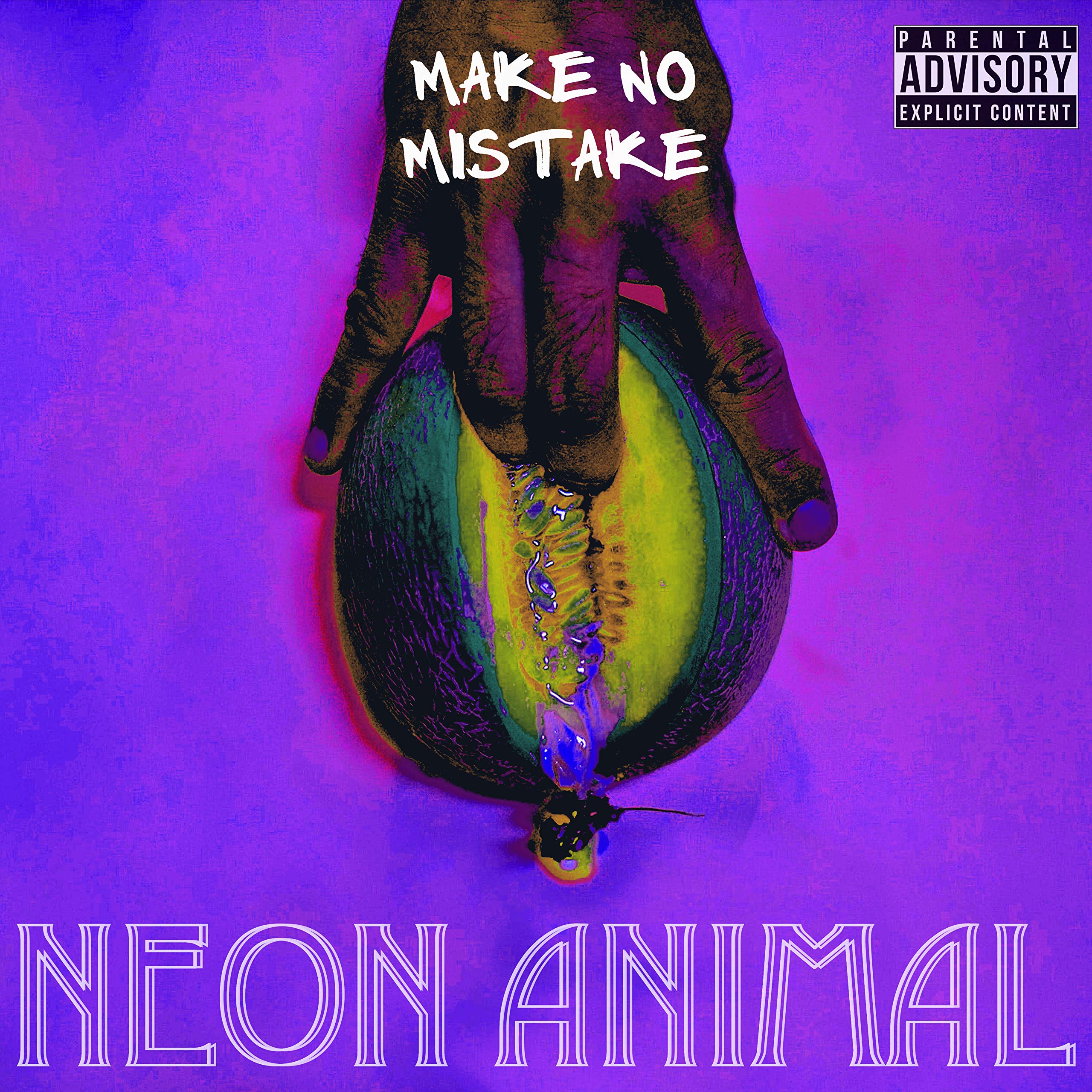 NEON ANIMAL - MAKE NO MISTAKE - CD (EX. cond.)