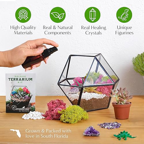 Miniatura 5 de Kit de terrario pequeño de alta calidad para suculentas, cactus y plantas de aire, incluye tierra, musgo, guijarros, herramientas, gema de amatista