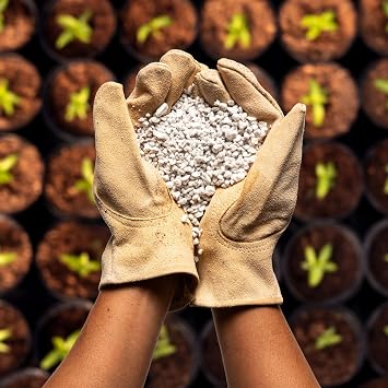 Perlite Bliss (1 Cubic Ft) - Organic Perlite for Plants Indoor Soil Amendment - Bulk Perlite for Gardening & Seed Starting - Mixes Easily with Potting Soil, Vermiculite, Coco Coir for Plants