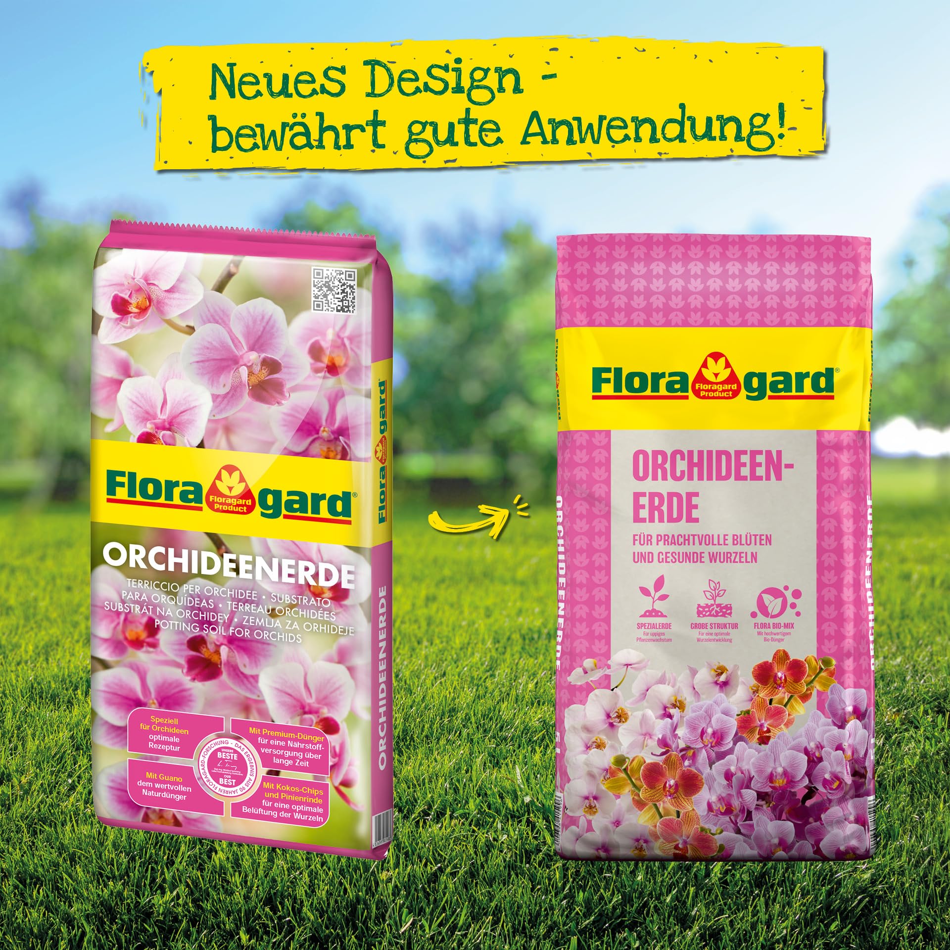 blauregen dünger kaufen Wisteria sinensis
