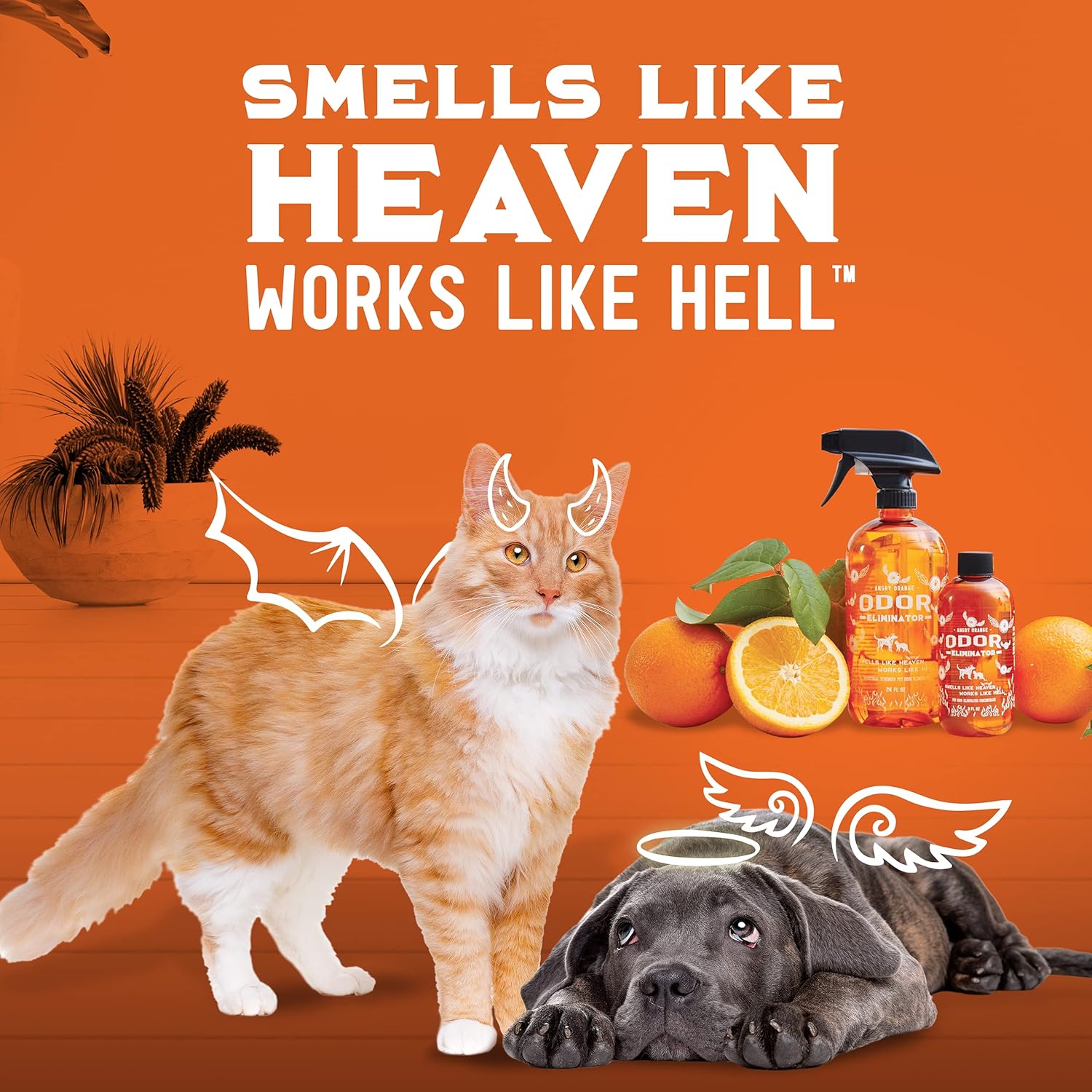 Buy Angry Orange Pet Odor Eliminator for Home 8oz Dog and Cat Pee