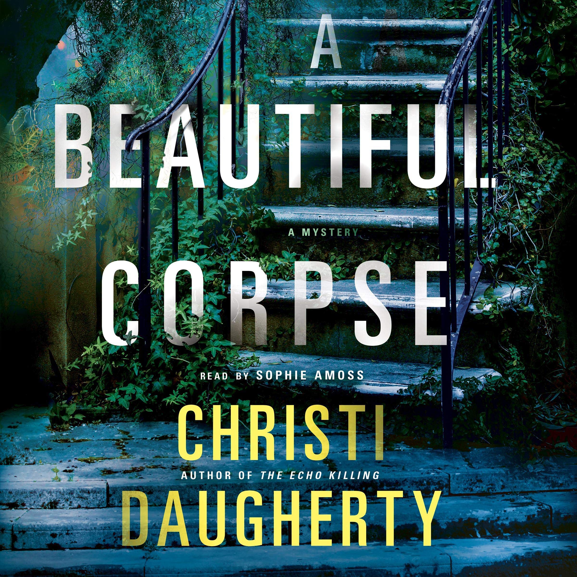 Cover art for A Beautiful Corpse