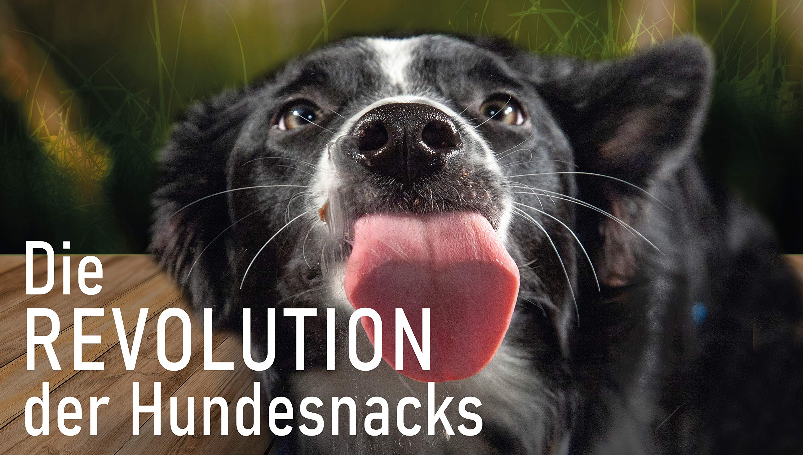 SmoothieDog 12er Probierset + Lickimat Buddy L grün 30,5x25,5cm Hundesmoothie - 4xLamm, 4xRind, 4X Huhn - je250ml Probierpaket - Gluten und Zuckerfrei (Grün)