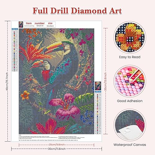 Miniatura 2 de RICUVED Kits de arte de diamantes para adultos, pájaros 5D, flores, kit de arte de diamantes de taladro redondo completo de puntos de diamante, kit