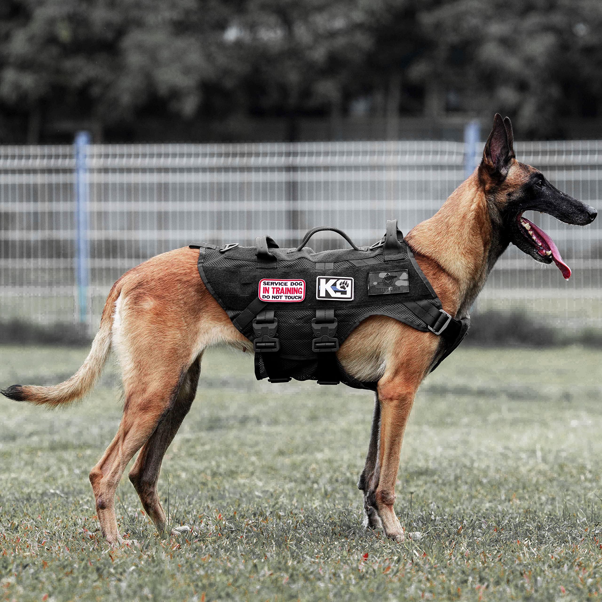 PETAC GEAR Tactical Dog Harness, Working Dog Vest Military Dog Training Harness Police Service Dog Vest with Handle, Molle Panel, Breathable Mesh (Black, L)