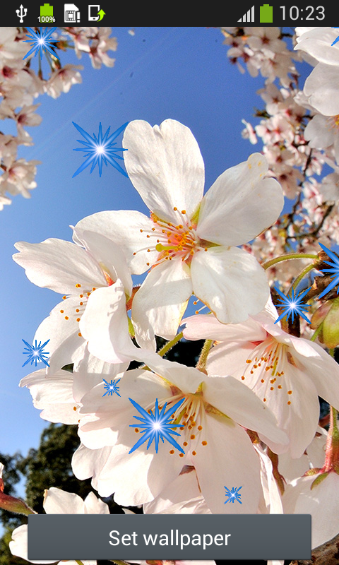 桜ライブ壁紙 Amazon Co Jp Appstore For Android 桜ライブ壁紙 Amazon Co Jp Appstore For Android