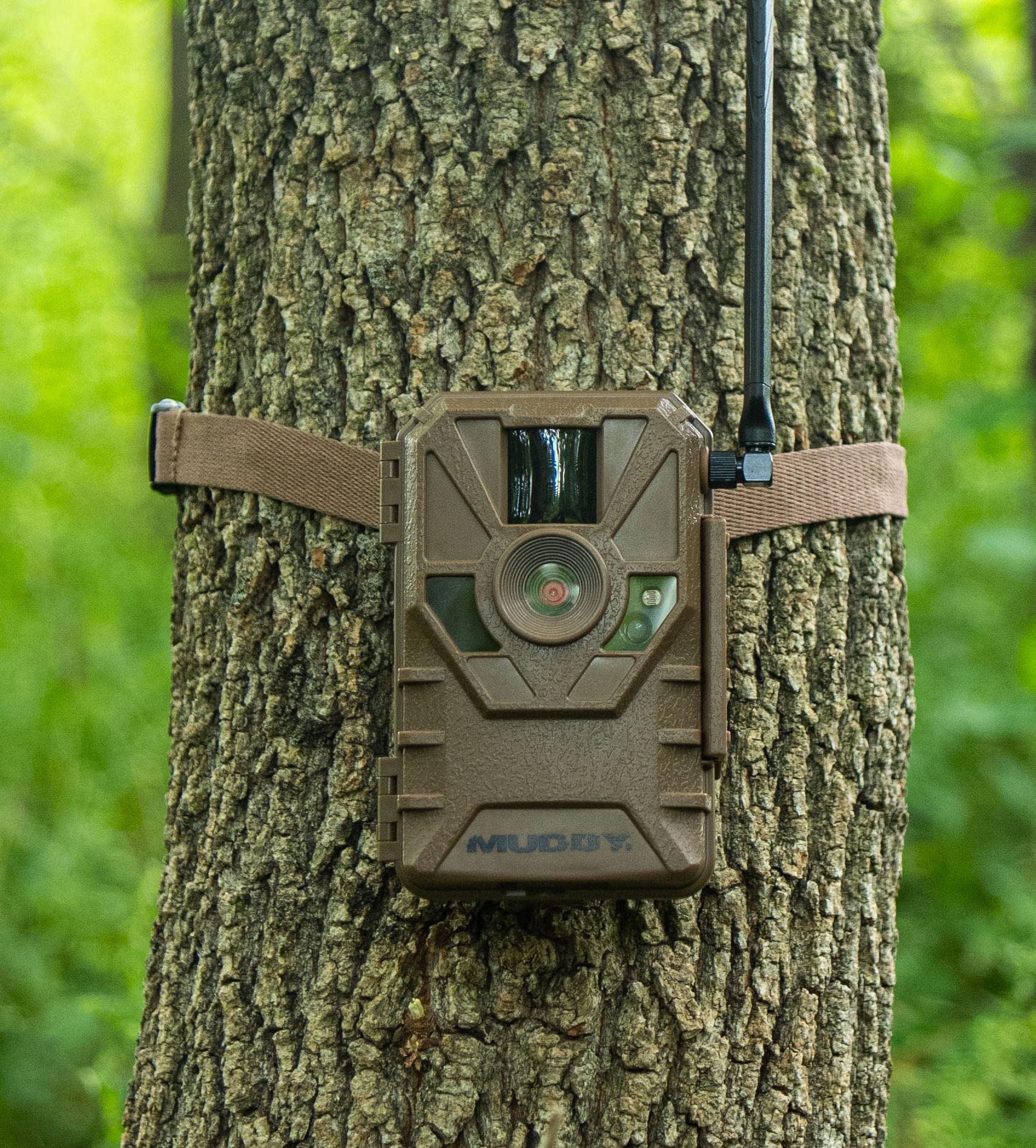 Camera De Chasse Muddy Manifest Outdoor Hunting 16MP Cellular