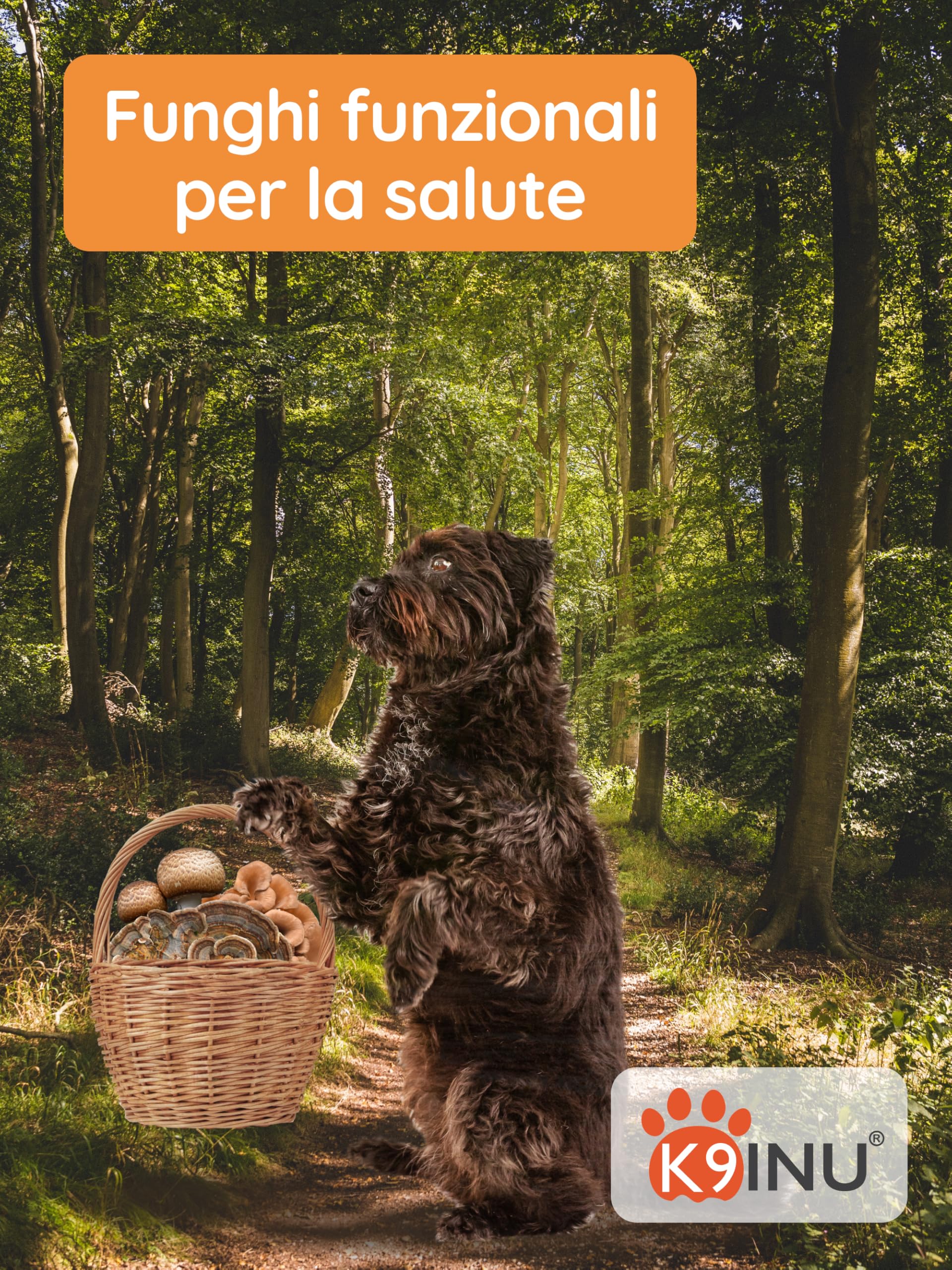 Supporto Immunitario per Cani - Complesso Concentrato di 6 Funghi Medicinali con Cordyceps, Reishi e Shiitake - Ricco di Beta Glucani - Vitamine per Cani - BIO, Naturale - 54 g