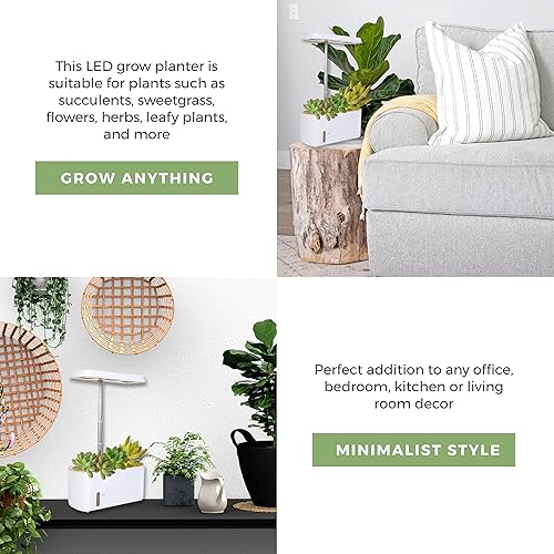 Miniatura 8 de Maceta de cultivo de altura ajustable para interiores, jardín de hierbas con luz LED, temporizador automático, maceta triple con ribete de trigo