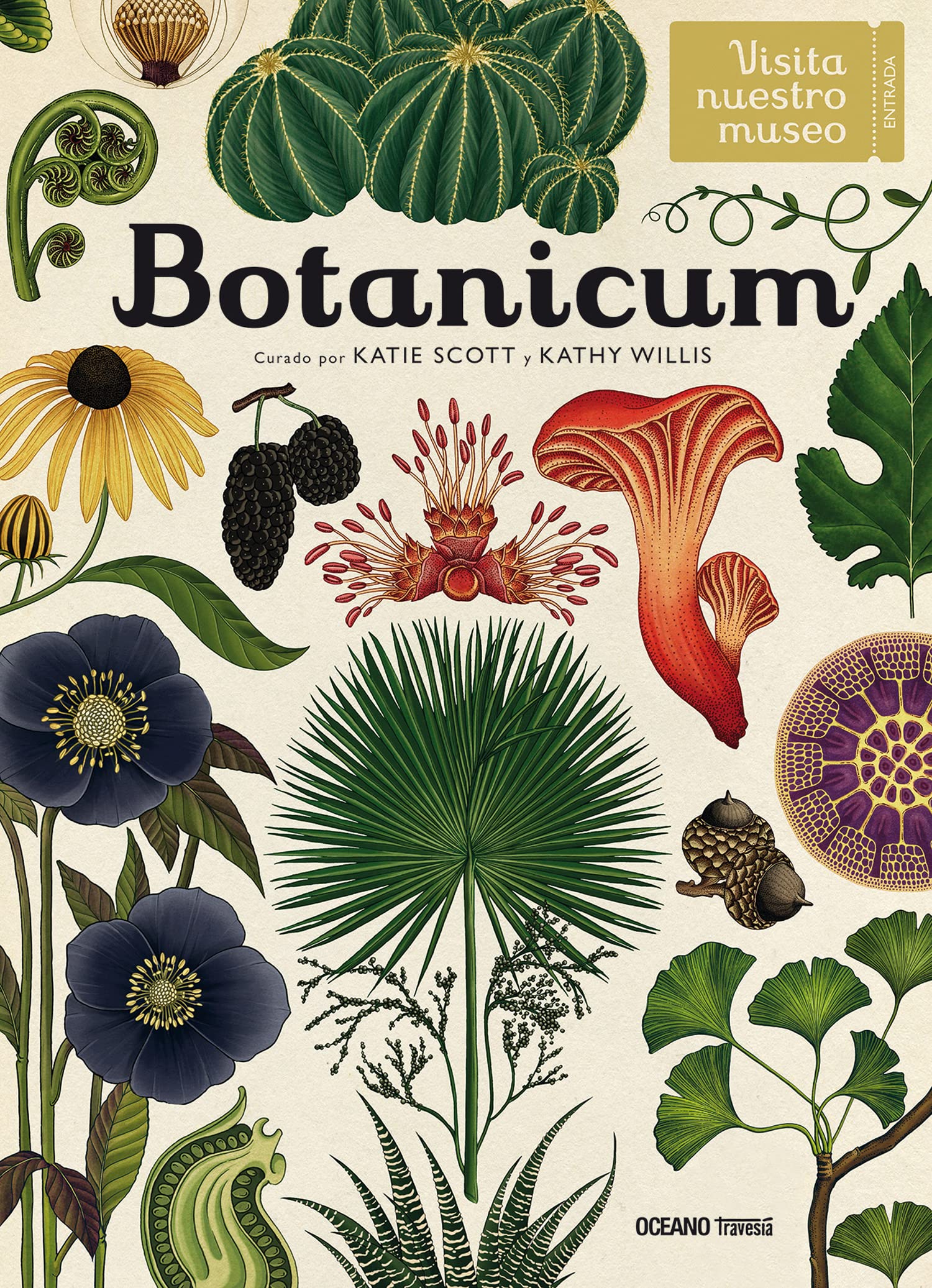 Botanicum: Welcome to the Museum
