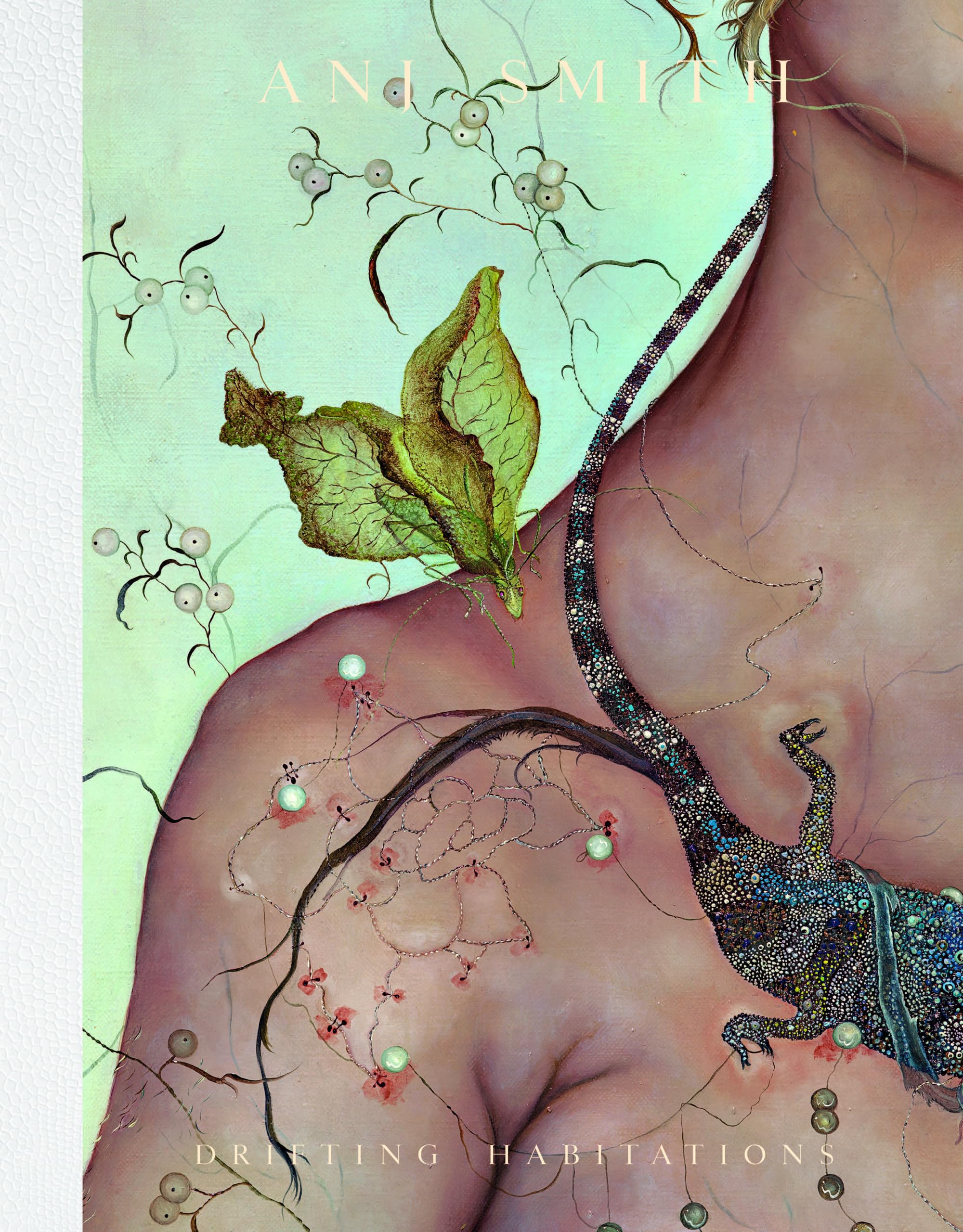 Anj Smith: Drifting Habitations