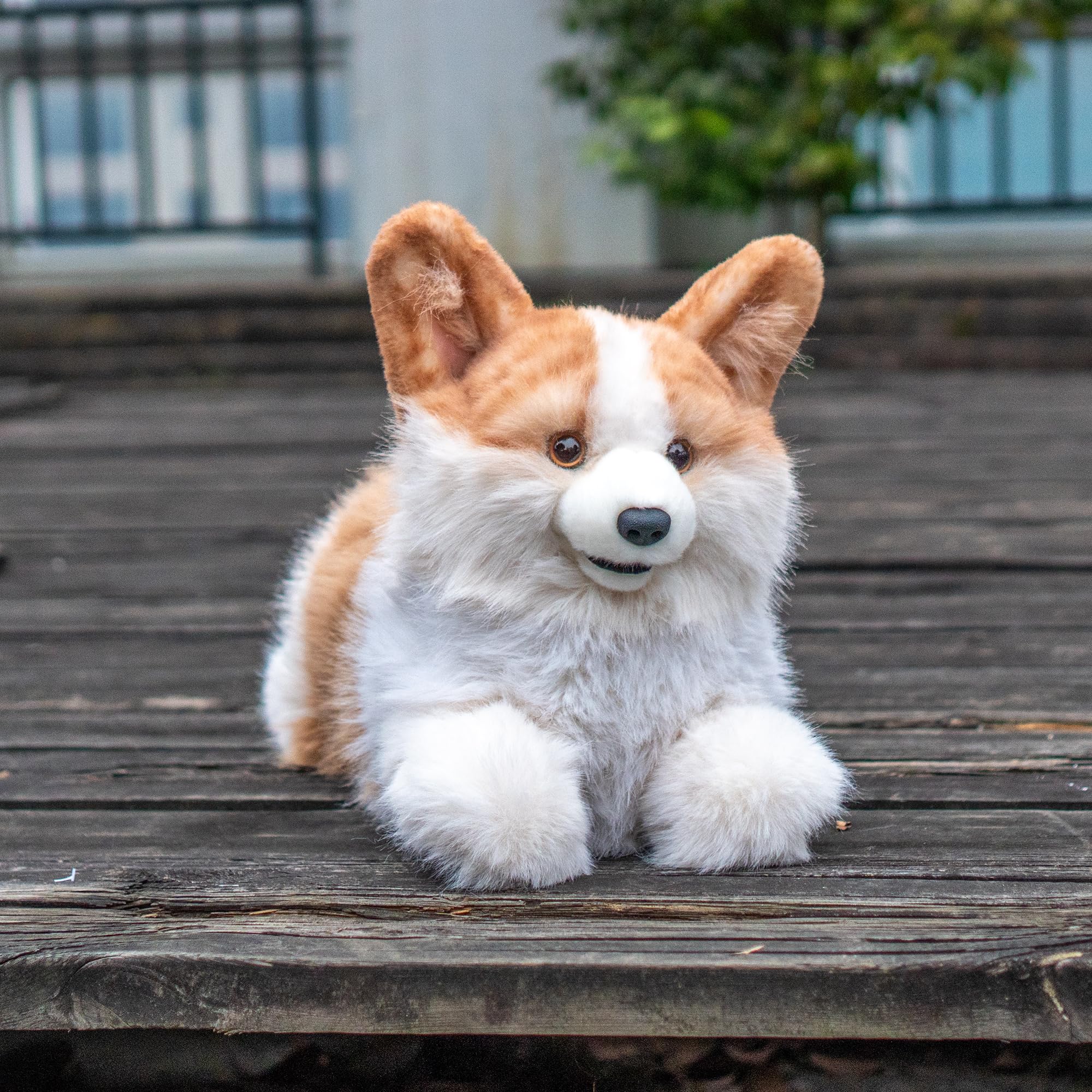 Amazon.co.jp: Chongker ぬいぐるみ ぬいぐるみ - リアルな動物 犬の