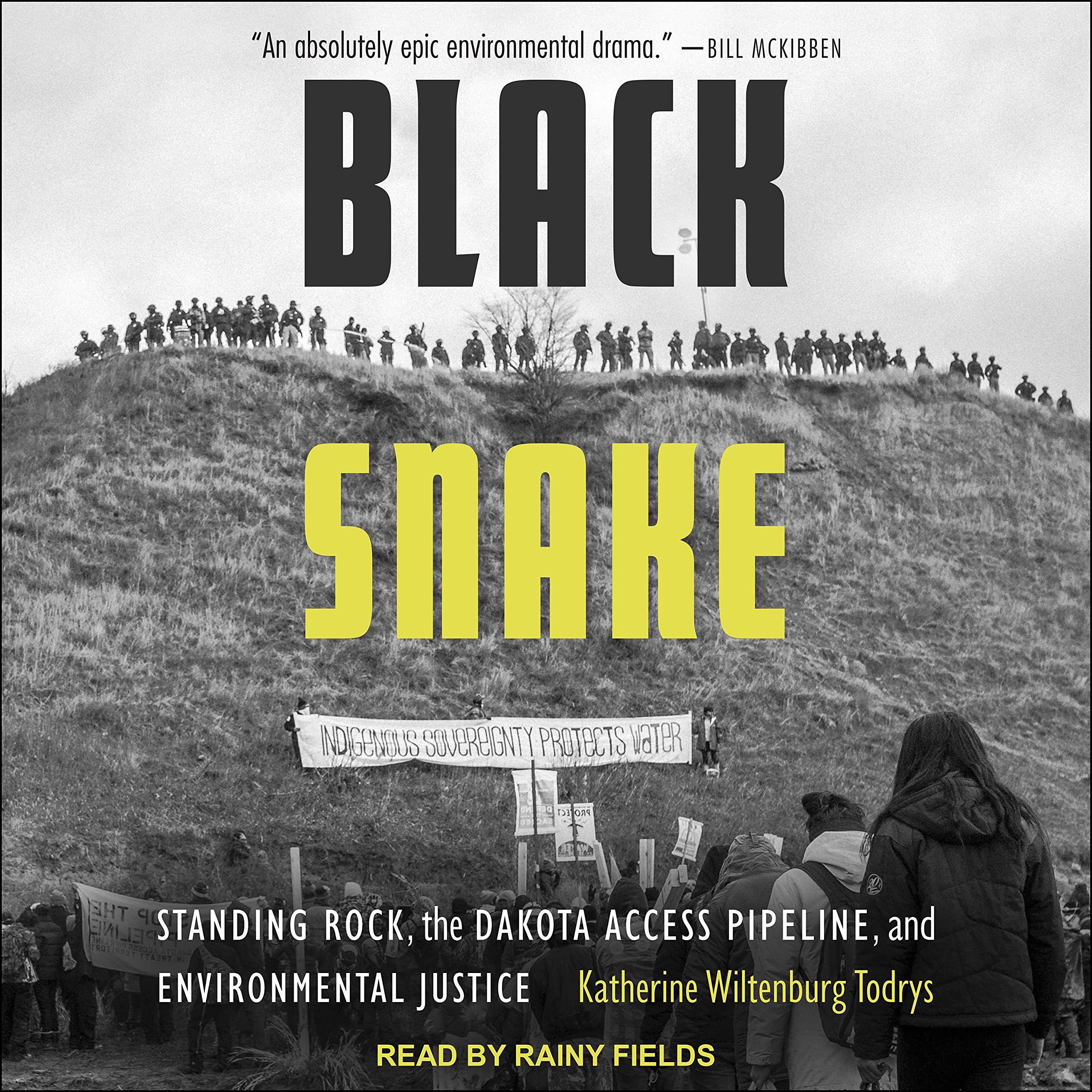 Cover art for Black Snake