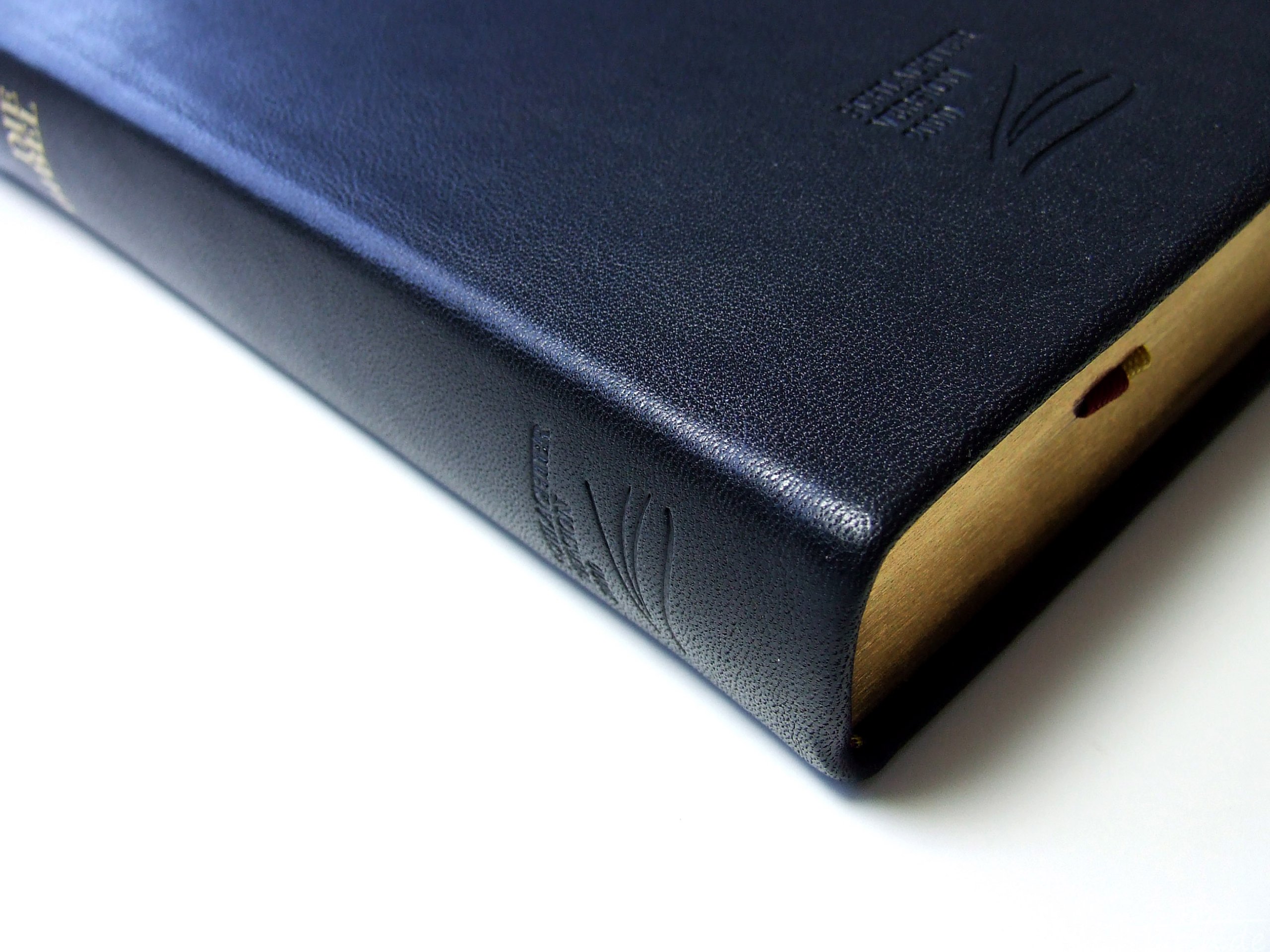 Schlachter 2000 Bibel - Taschenausgabe (Softcover, schwarz, Goldschnitt, Griffregister): Taschenausgabe mit Parallelstellen, Kalbsleder-Einband ... / neue Rechtschreibung / Fadenheftung