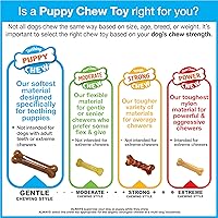 Vista 15 de Nylabone - Kit de inicio para cachorros con juguetes para masticar, paquete de juguetes y golosinas para masticar, suministros para cachorros