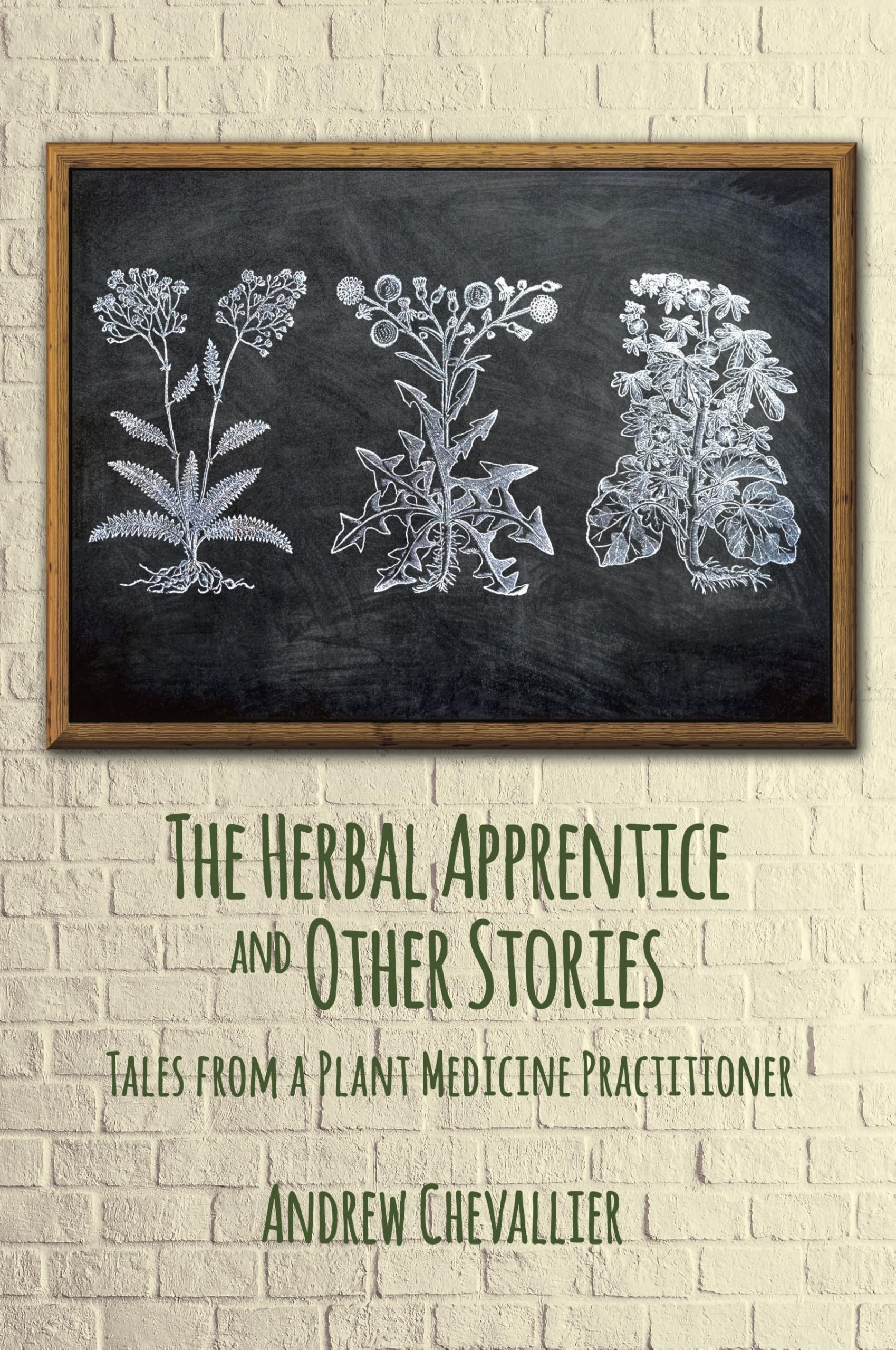 The Herbal Apprentice and Other Stories: Tales from a Plant Medicine Practitioner