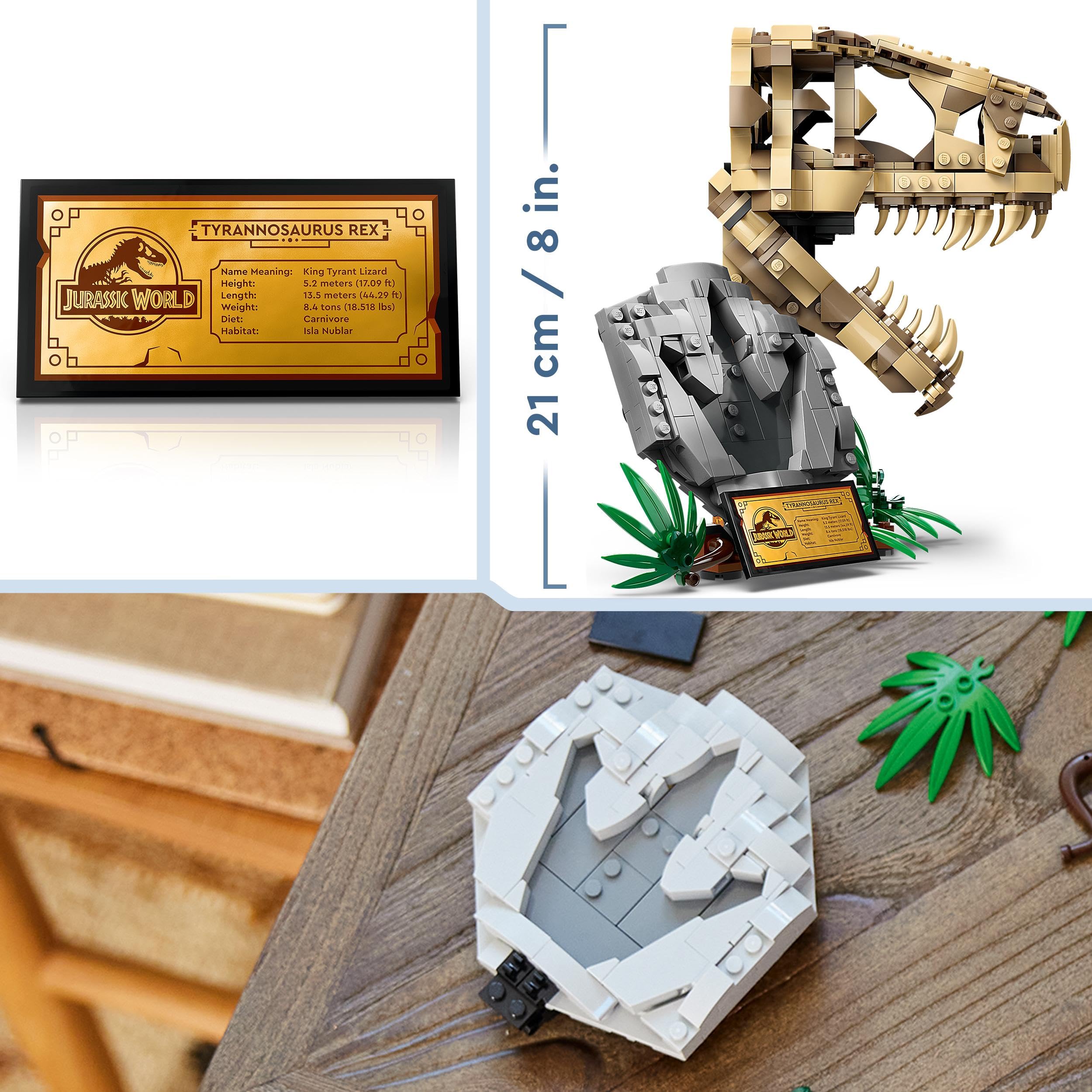 Amazon.com: LEGO 76964 Jurassic World Dinosaurier-Fossilien: T