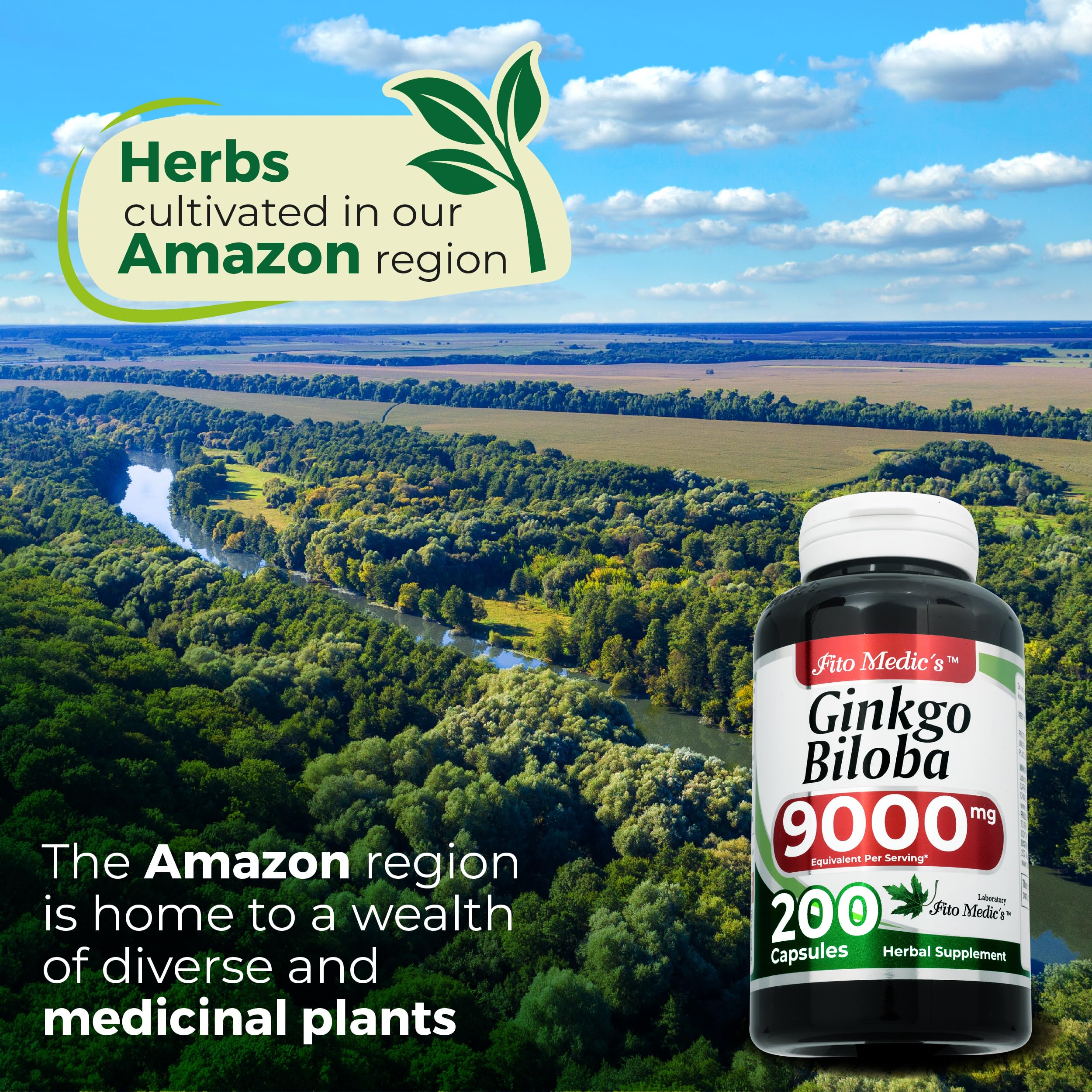 FITO MEDIC'S Ginkgo Biloba | Ginkgo biloba Herb Leaf Capsules | 200 Capsules | Concentrated Extract | Highly Absorbable Herbal Supplement — Amazon image 6