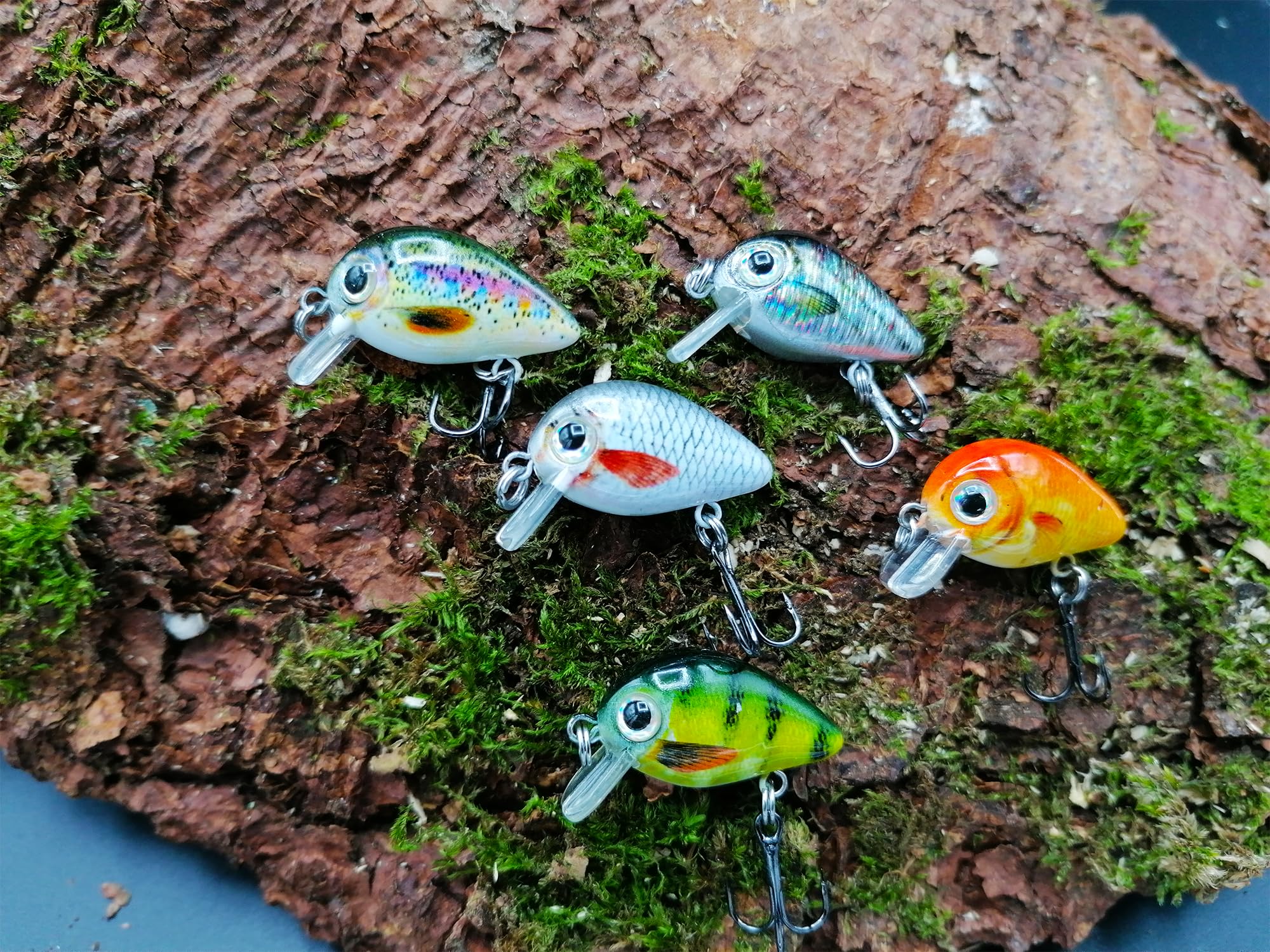 Paradox Fishing mini zestaw woblerów 5 woblerów (2,5cm 1,5g pływający głębokość robocza: 0,6m-1m) do łowienia pstrągów lub jako przynęta na okonie - wobler pstrąg okoń